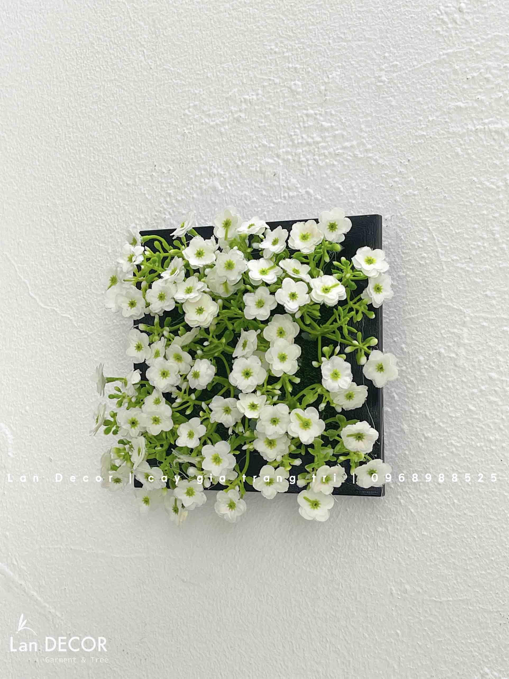 Khung tranh rêu treo tường trang trí nghệ thuật- KTR017