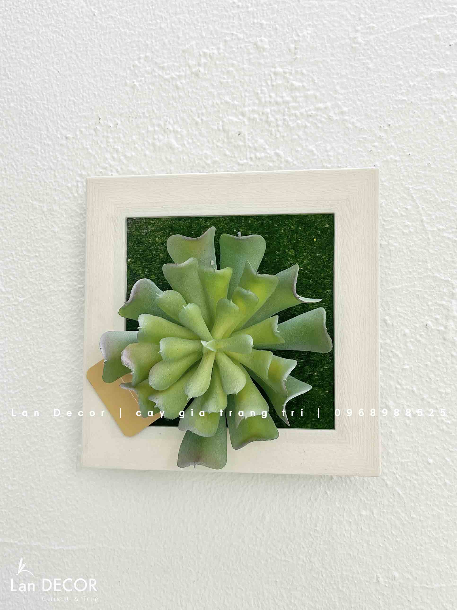 Khung tranh rêu treo tường trang trí nghệ thuật- KTR017