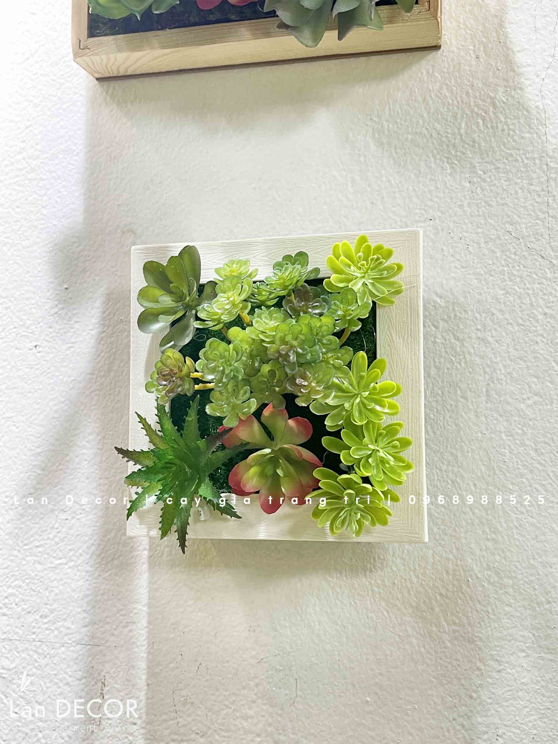 Khung tranh rêu treo tường trang trí nghệ thuật- KTR017