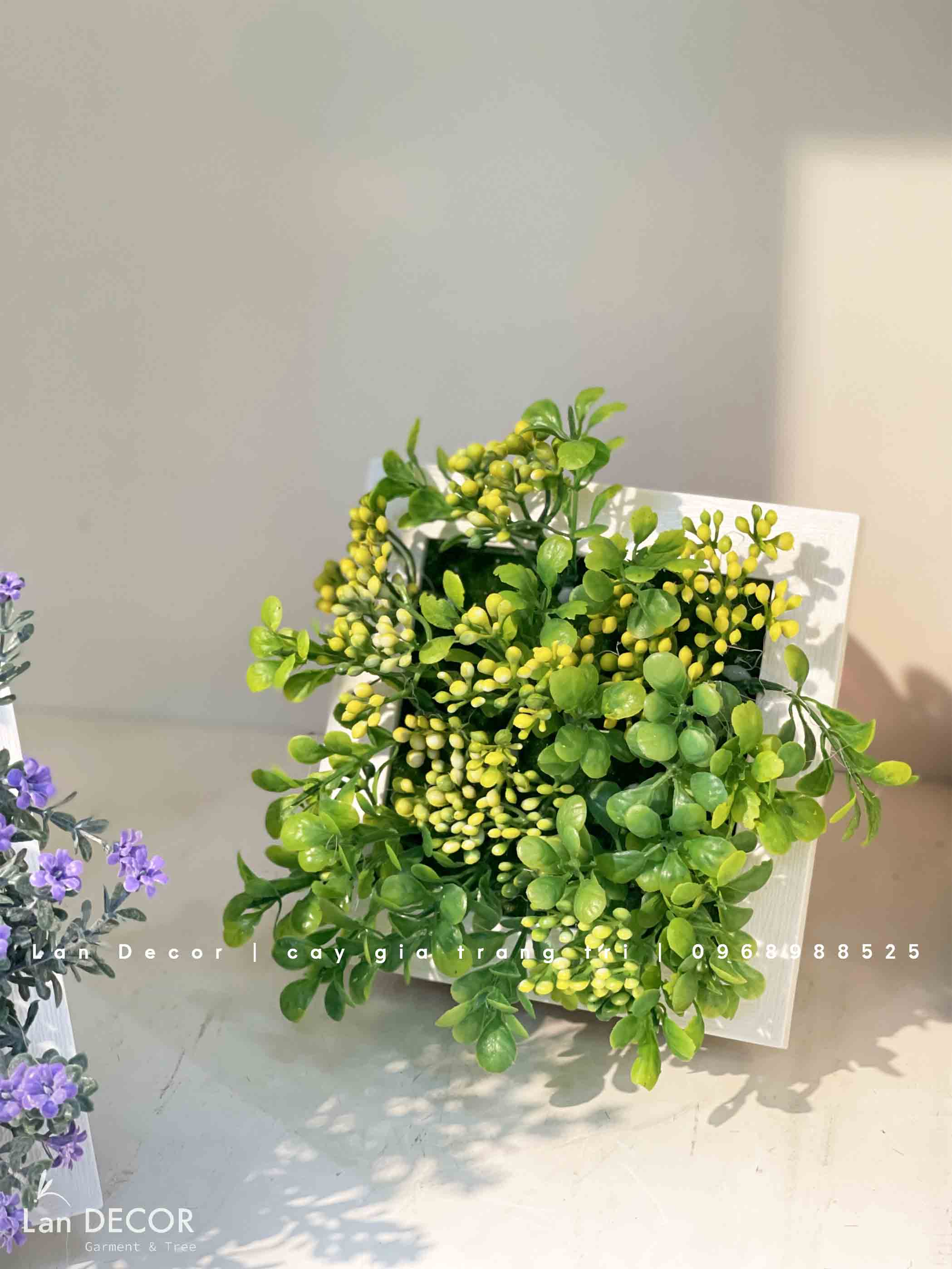 Khung tranh rêu treo tường trang trí nghệ thuật- KTR017