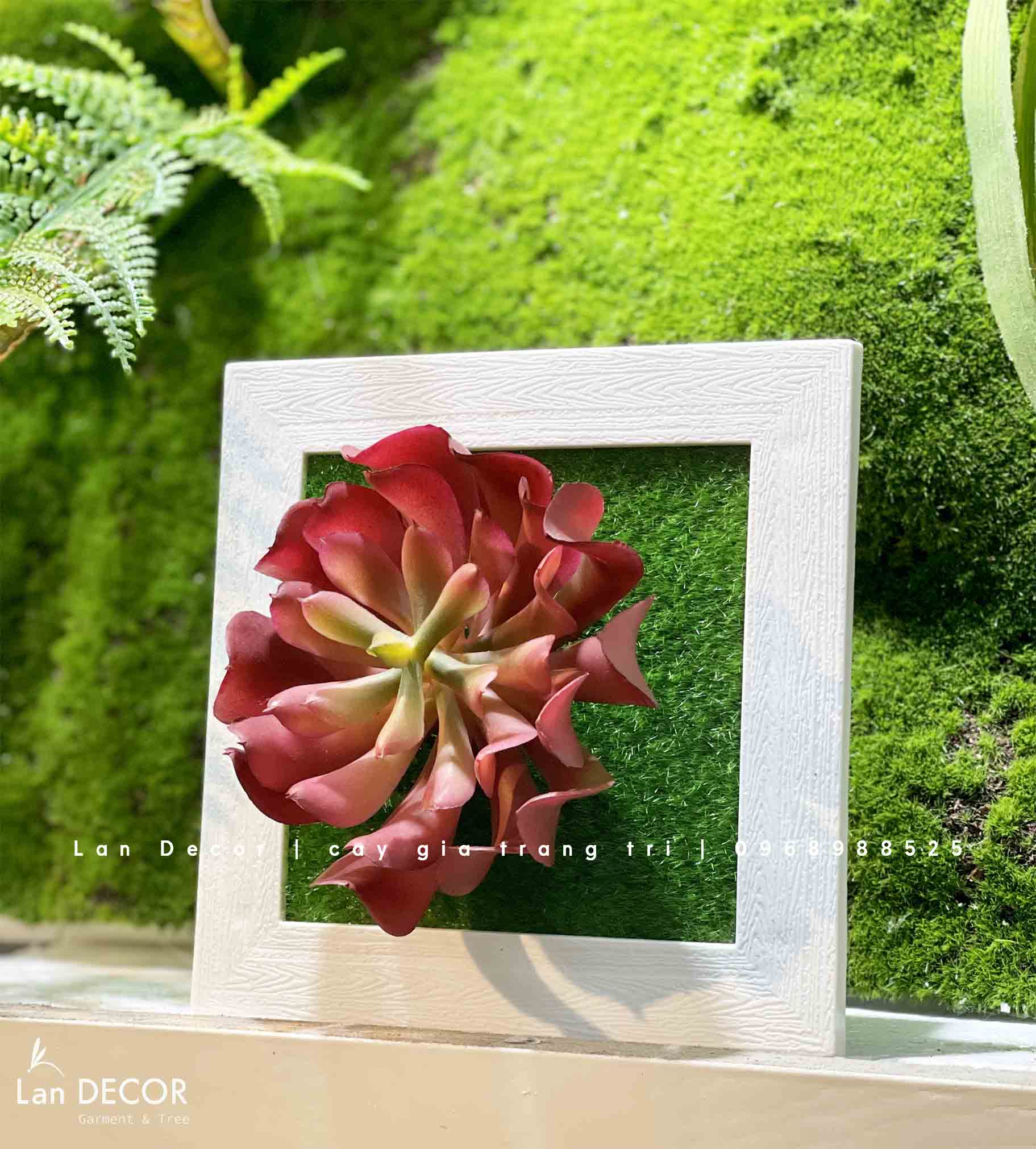 Khung tranh rêu treo tường trang trí nghệ thuật- KTR017