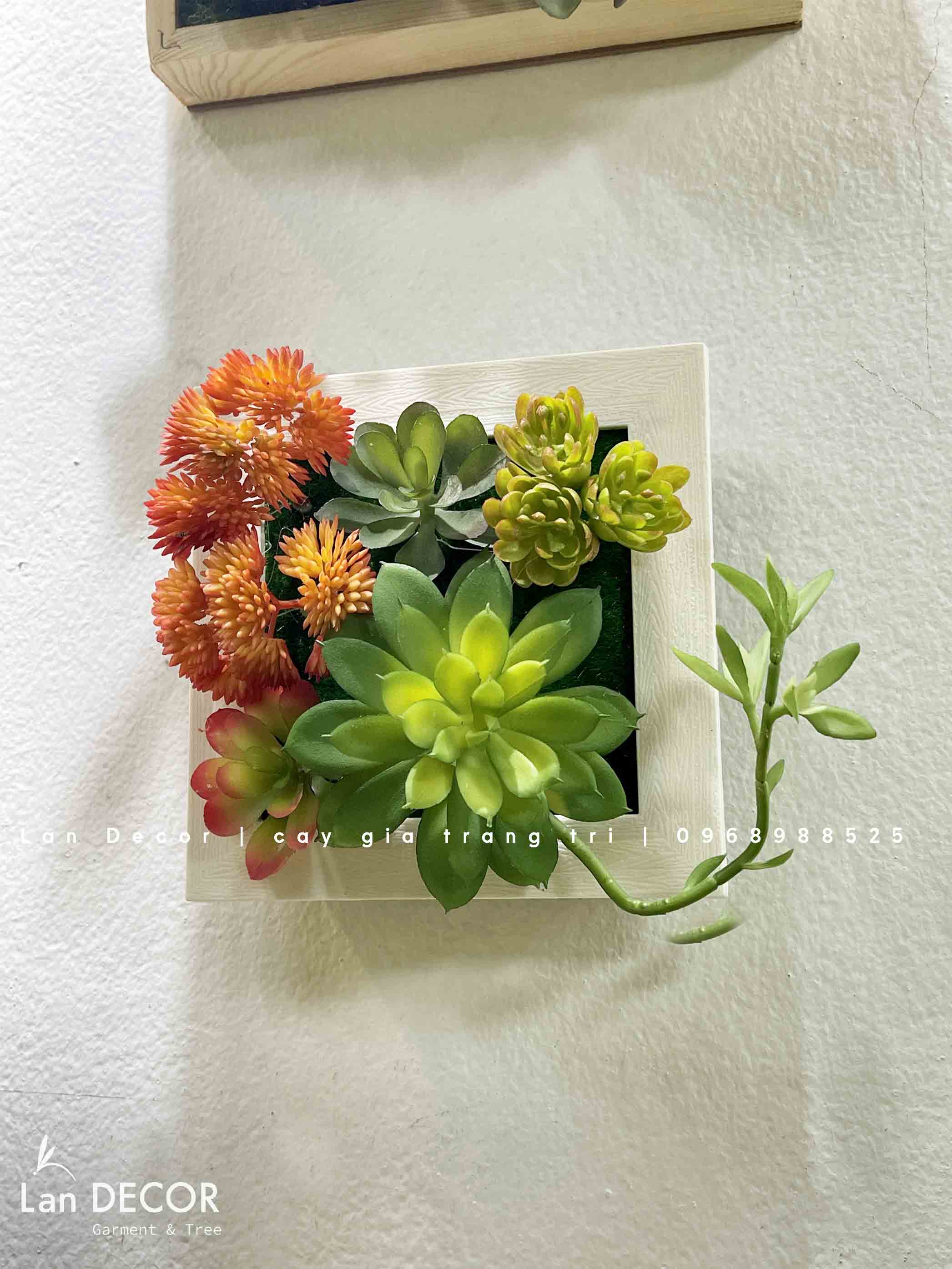 Khung tranh rêu treo tường trang trí nghệ thuật- KTR017