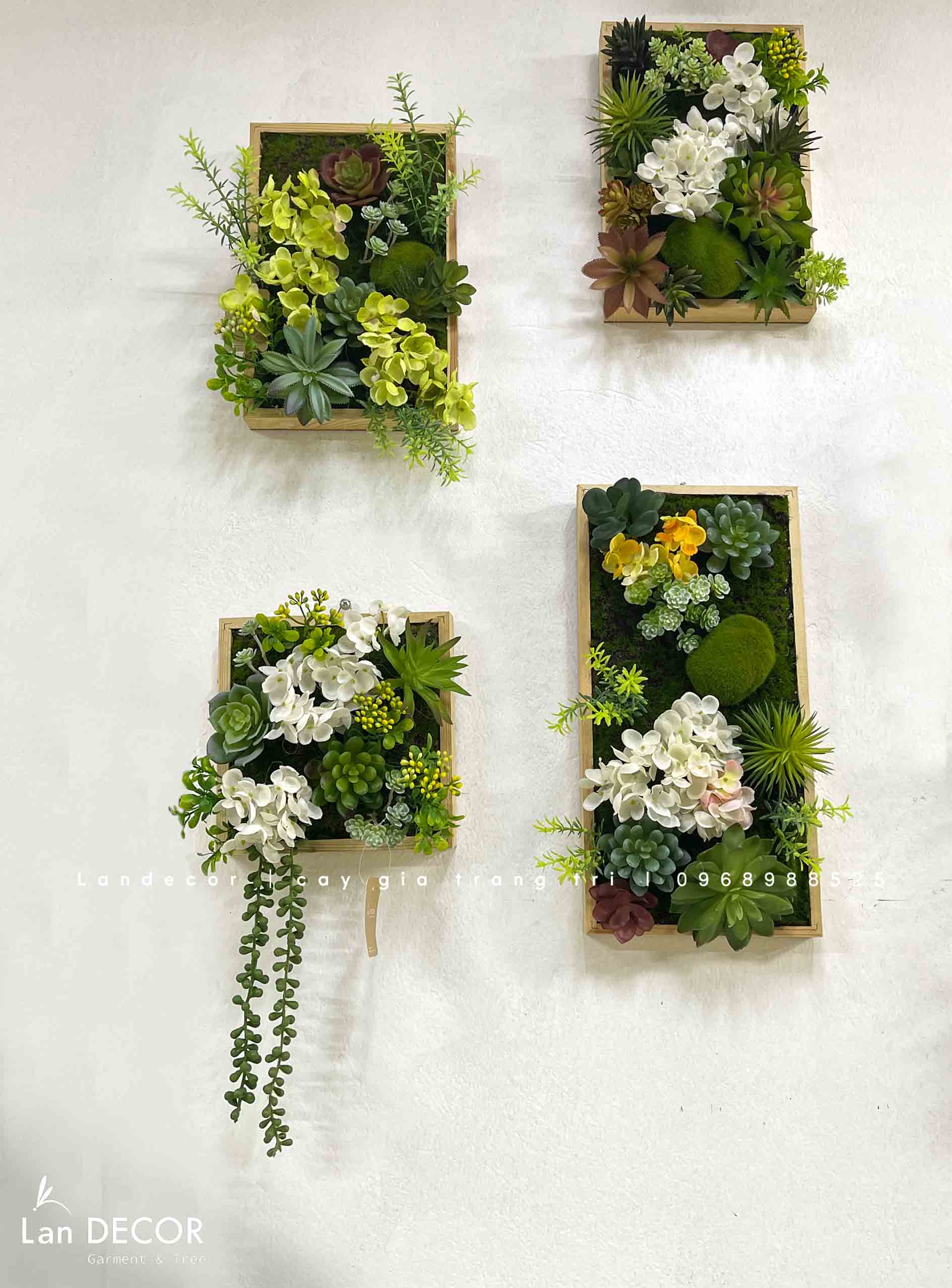 BỘ TRANH RÊU SEN ĐÁ TREO TƯỜNG DECOR ĐỘC ĐÁO, SANG TRỌNG