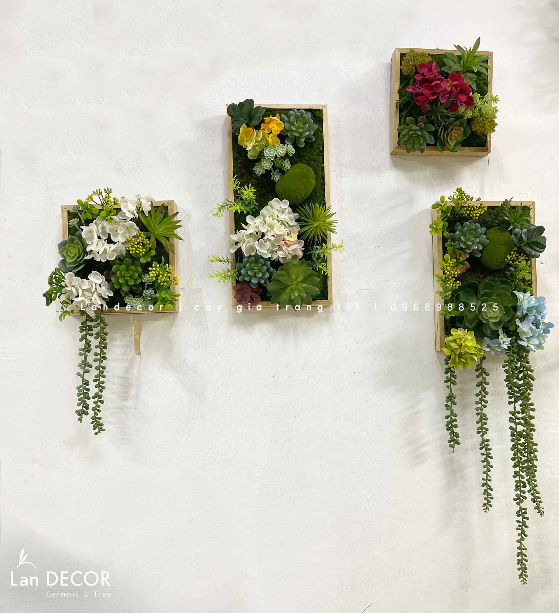 BỘ TRANH RÊU SEN ĐÁ TREO TƯỜNG DECOR ĐỘC ĐÁO, SANG TRỌNG