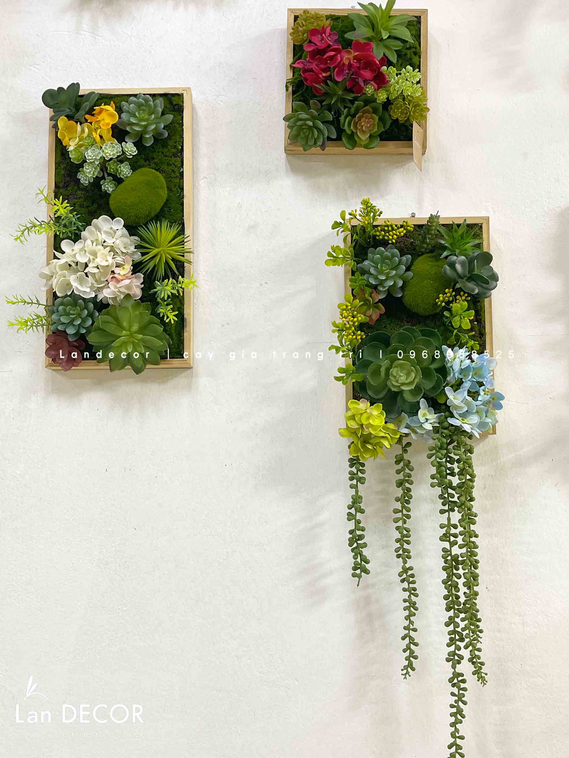 BỘ TRANH RÊU SEN ĐÁ TREO TƯỜNG DECOR ĐỘC ĐÁO, SANG TRỌNG