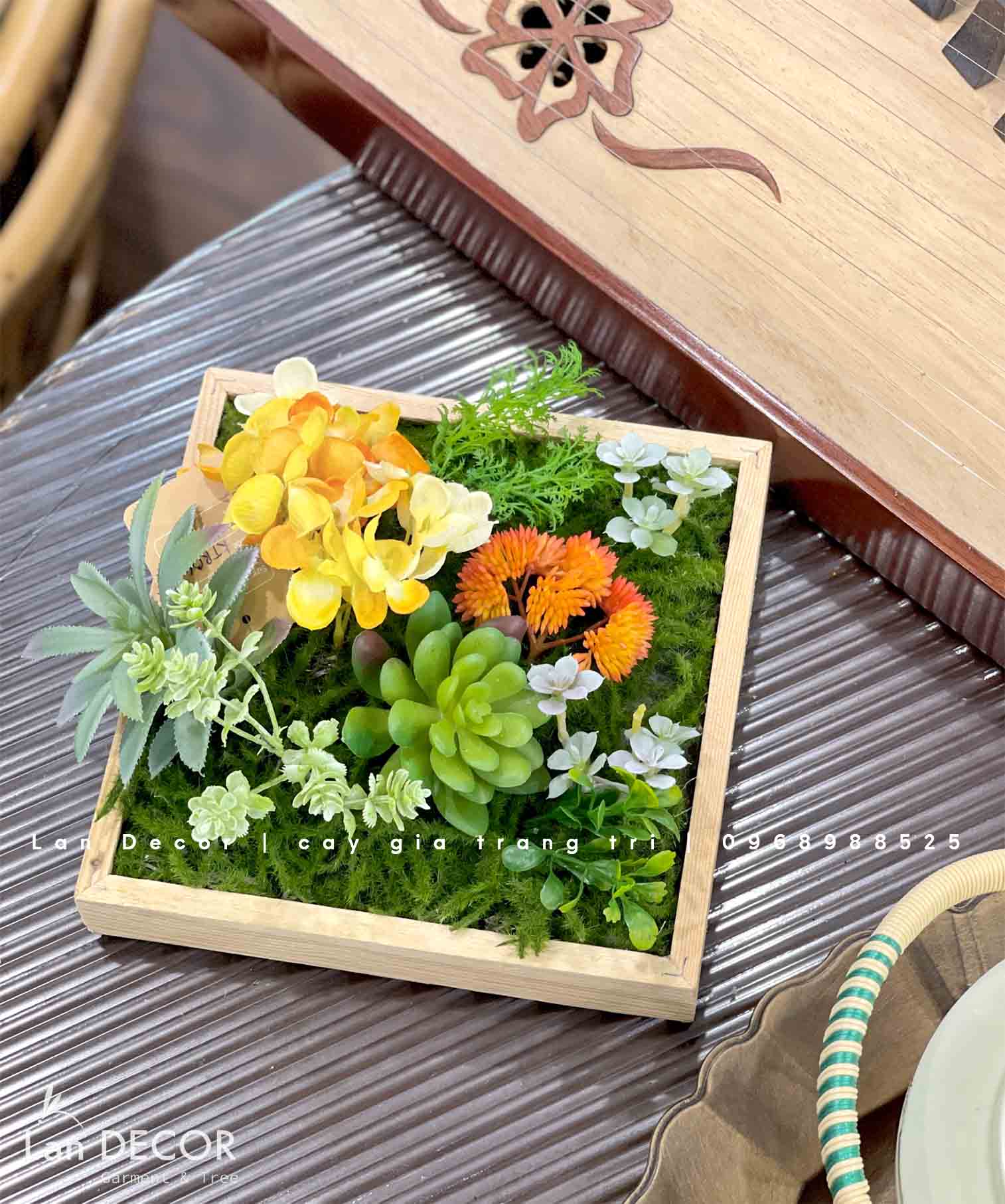 TỔNG HỢP CÁC MẪU KHUNG TRANH CÂY, SEN ĐÁ TREO TƯỜNG ĐỘC ĐÁO, TỰ NHIÊN