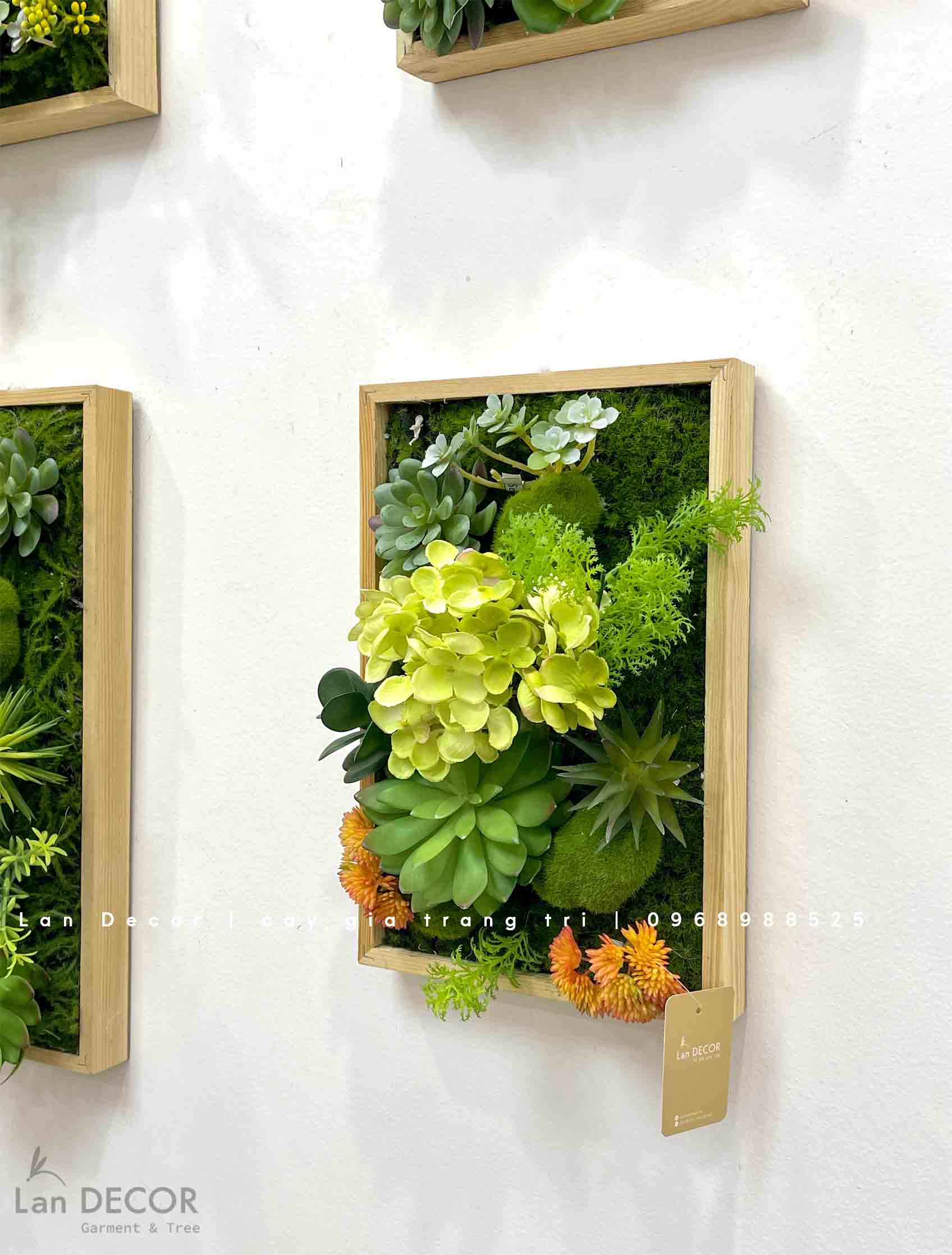 Khung tranh rêu sen đá trang trí nhà đẹp - KTR08(20X30) Tổng Kho Sỉ Cây ...