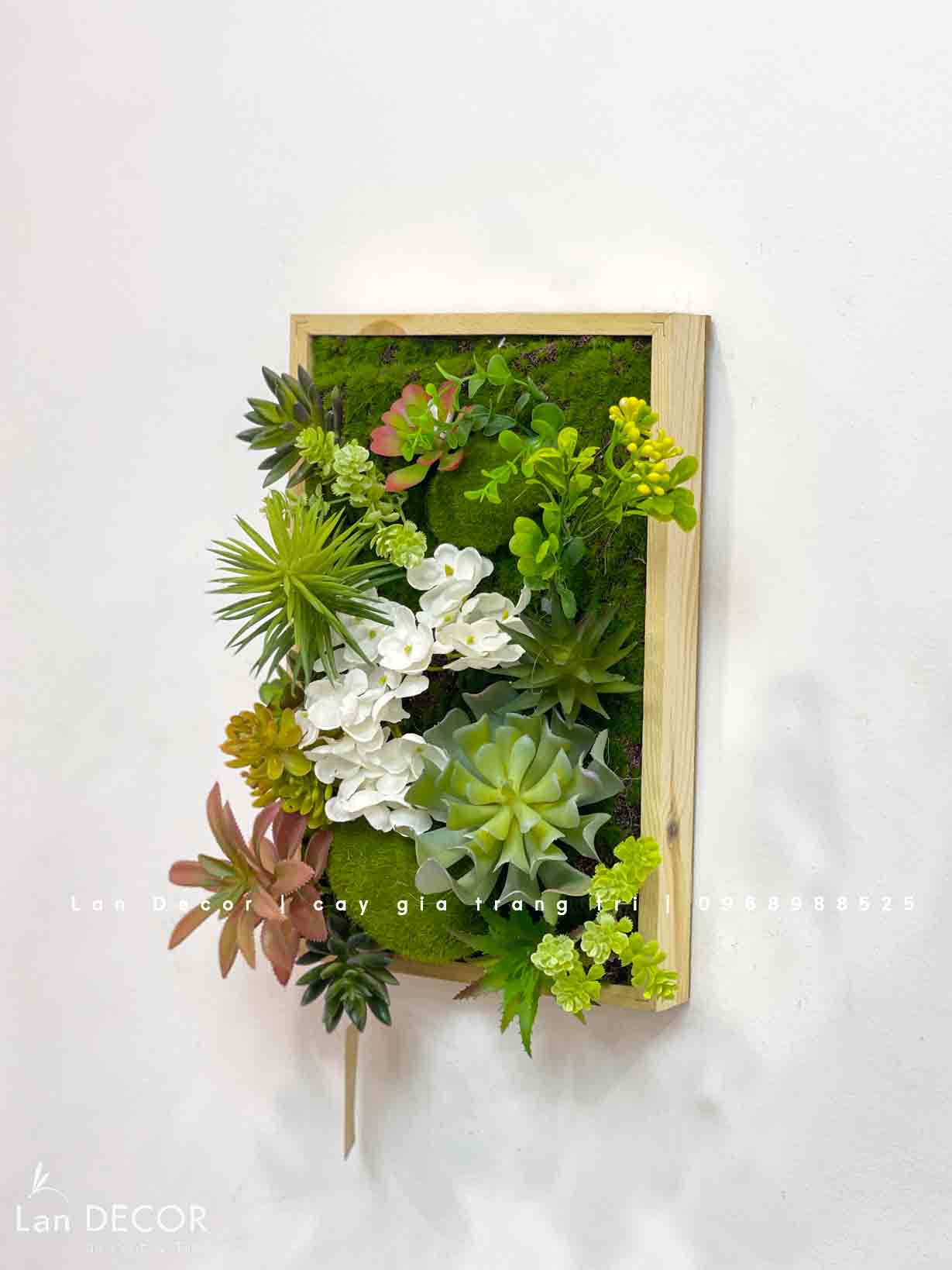 TỔNG HỢP CÁC MẪU KHUNG TRANH CÂY, SEN ĐÁ TREO TƯỜNG ĐỘC ĐÁO, TỰ NHIÊN