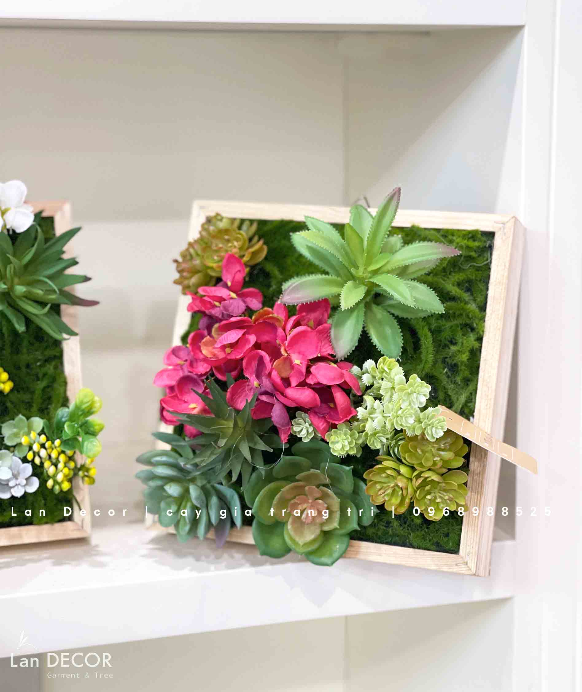 TỔNG HỢP CÁC MẪU KHUNG TRANH CÂY, SEN ĐÁ TREO TƯỜNG ĐỘC ĐÁO, TỰ NHIÊN