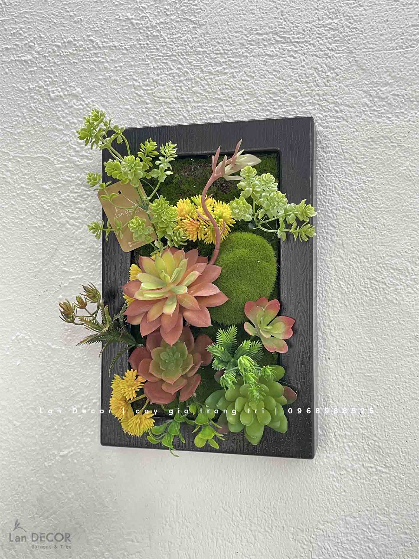 KHUNG TRANH RÊU SEN ĐÁ TRANG TRÍ HÀI HÒA- KTR014 (20x30cm) Tổng Kho Sỉ ...