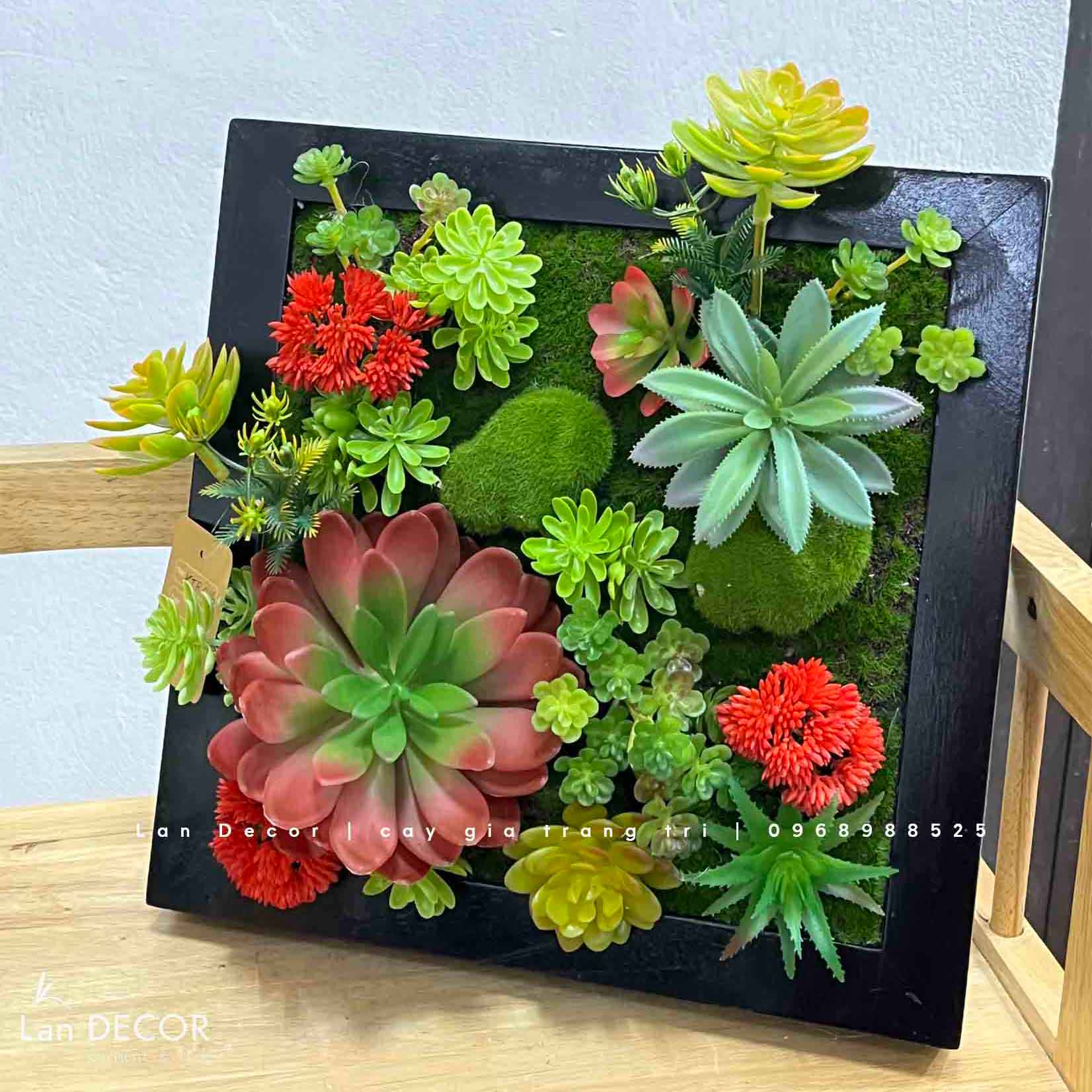 KHUNG TRANH RÊU SEN ĐÁ TRANG TRÍ KHÔNG GIAN SỐNG ĐỘNG- KTR016 (30x30cm ...