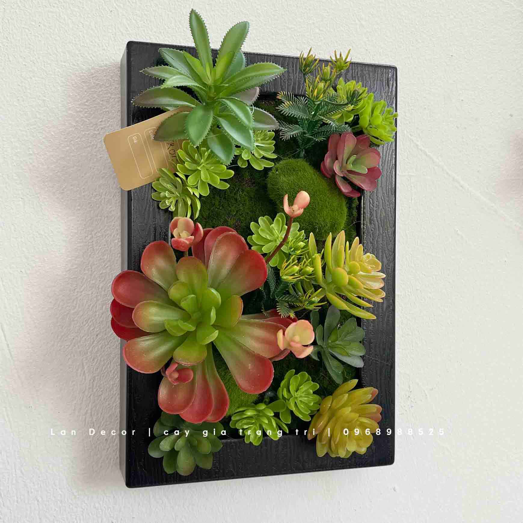 KHUNG TRANH RÊU SEN ĐÁ DECOR ẤN TƯỢNG- KTR015 (20x30cm)