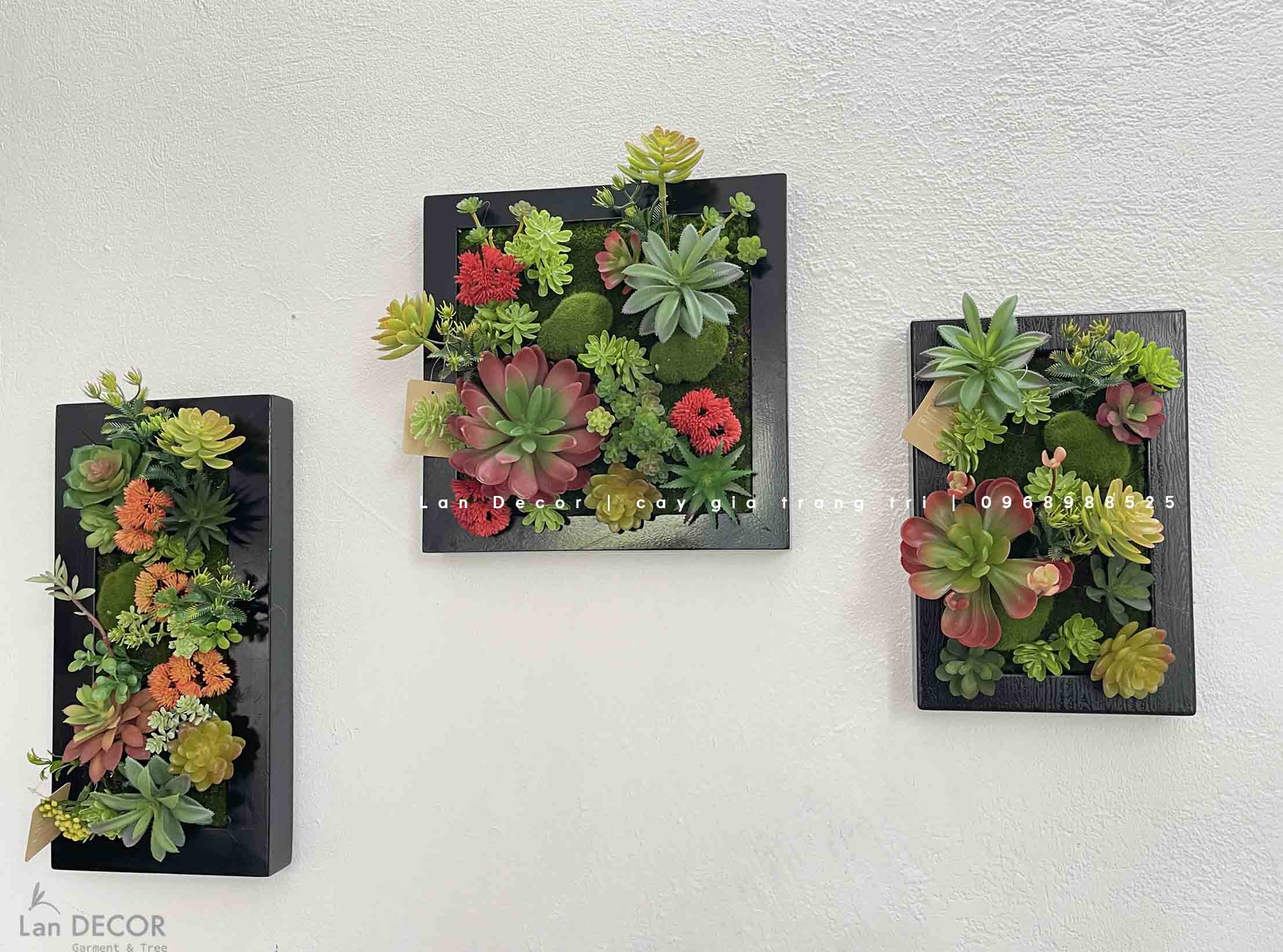 KHUNG TRANH RÊU SEN ĐÁ TRANG TRÍ KHÔNG GIAN SỐNG ĐỘNG- KTR016 (30x30cm)