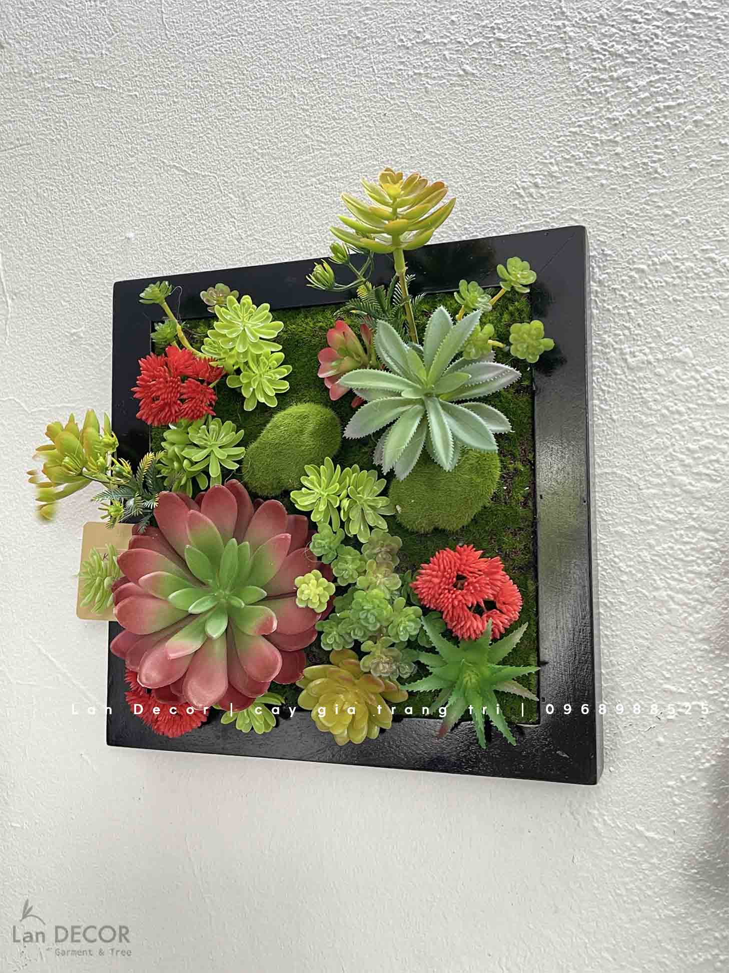 KHUNG TRANH RÊU SEN ĐÁ TRANG TRÍ KHÔNG GIAN SỐNG ĐỘNG- KTR016 (30x30cm ...