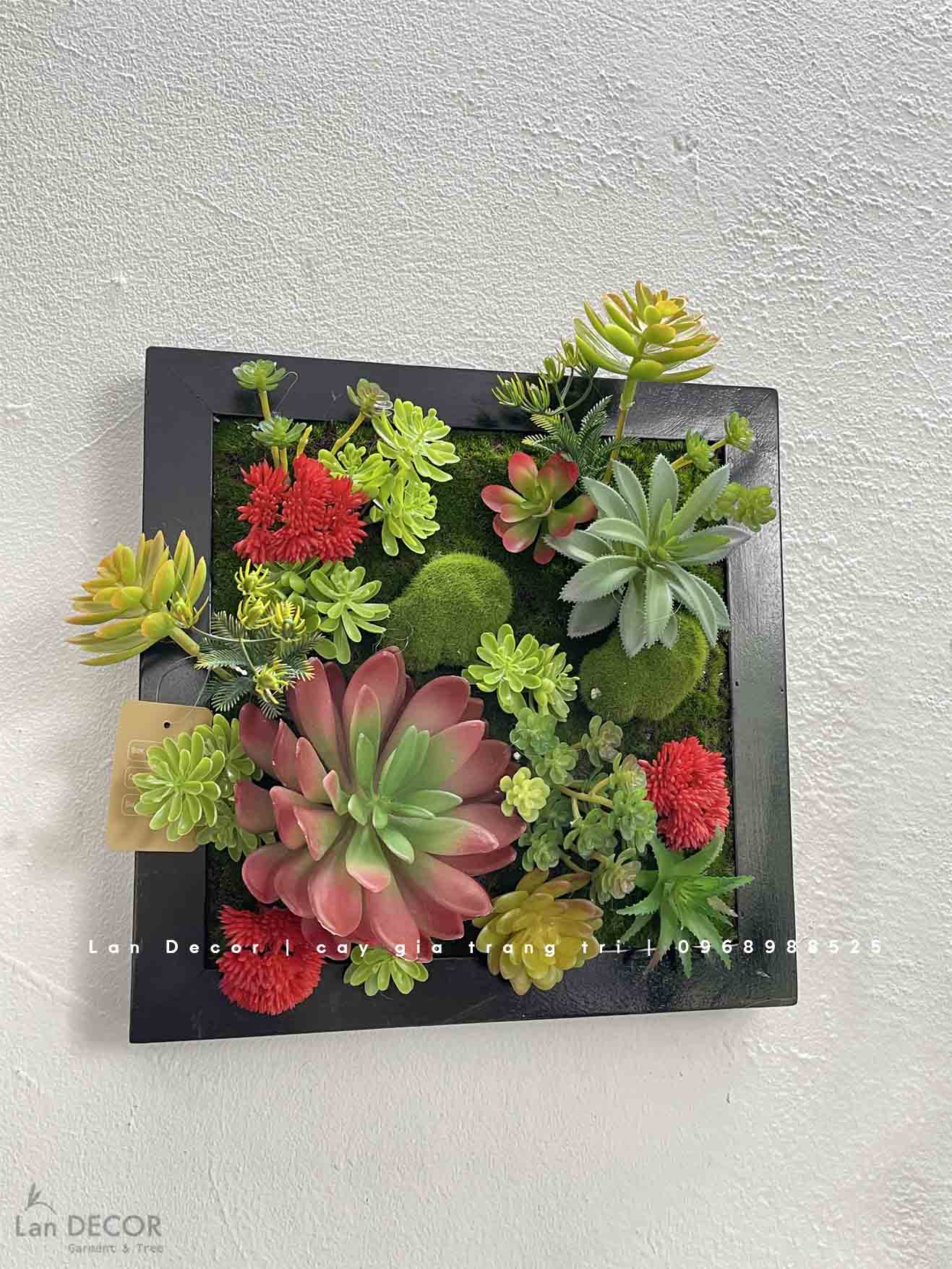 KHUNG TRANH RÊU SEN ĐÁ TRANG TRÍ KHÔNG GIAN SỐNG ĐỘNG- KTR016 (30x30cm ...