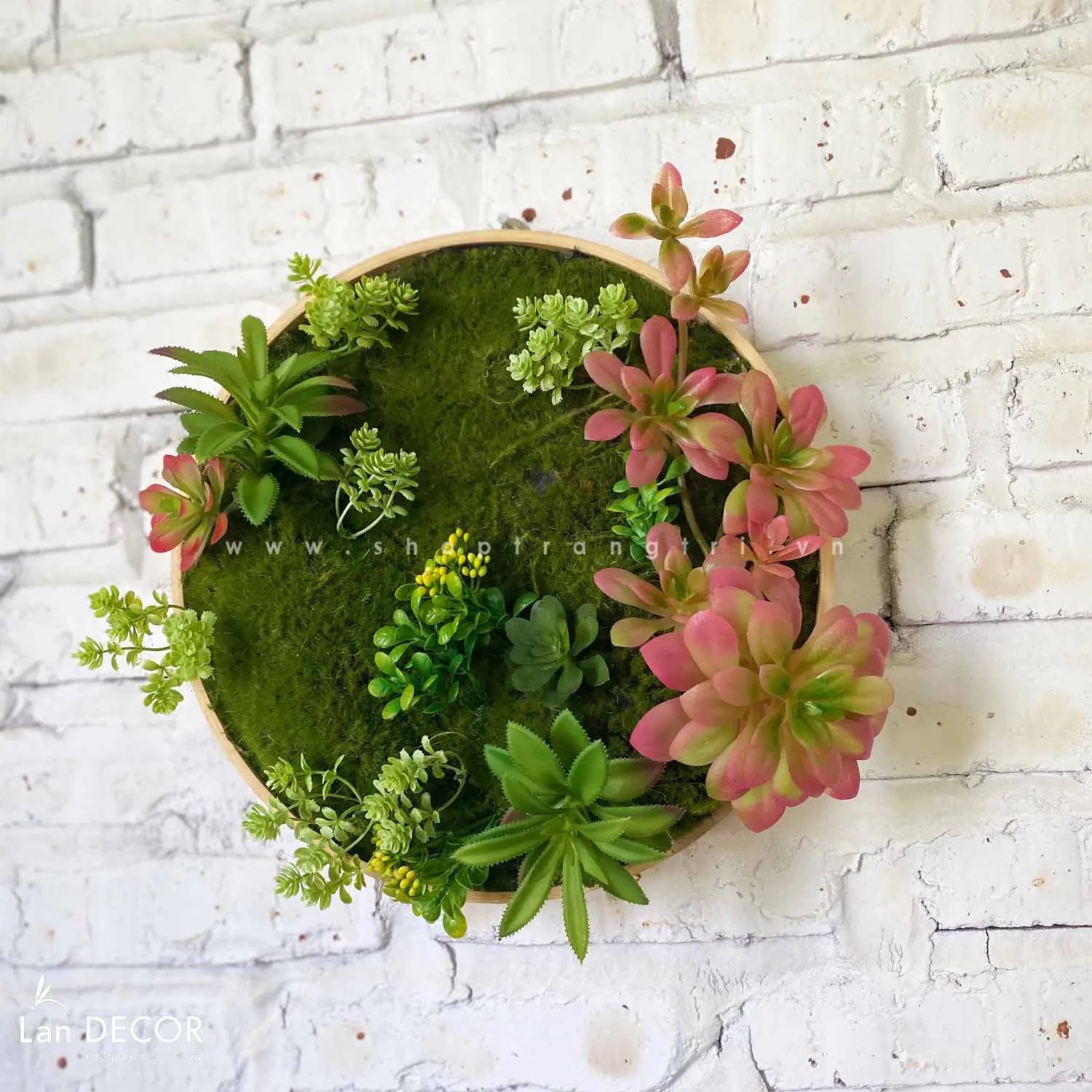 TỔNG HỢP CÁC MẪU KHUNG TRANH CÂY, SEN ĐÁ TREO TƯỜNG ĐỘC ĐÁO, TỰ NHIÊN