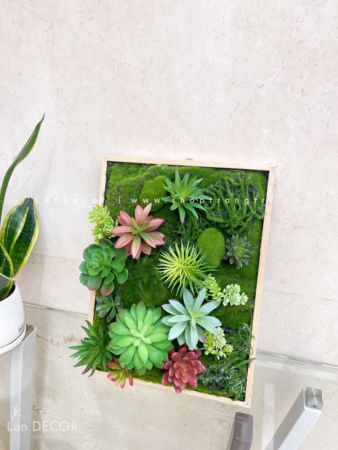 KHUNG TRANH RÊU SEN ĐÁ TRANG TRÍ TIỂU CẢNH - KTR010(30X40) Tổng Kho Sỉ ...