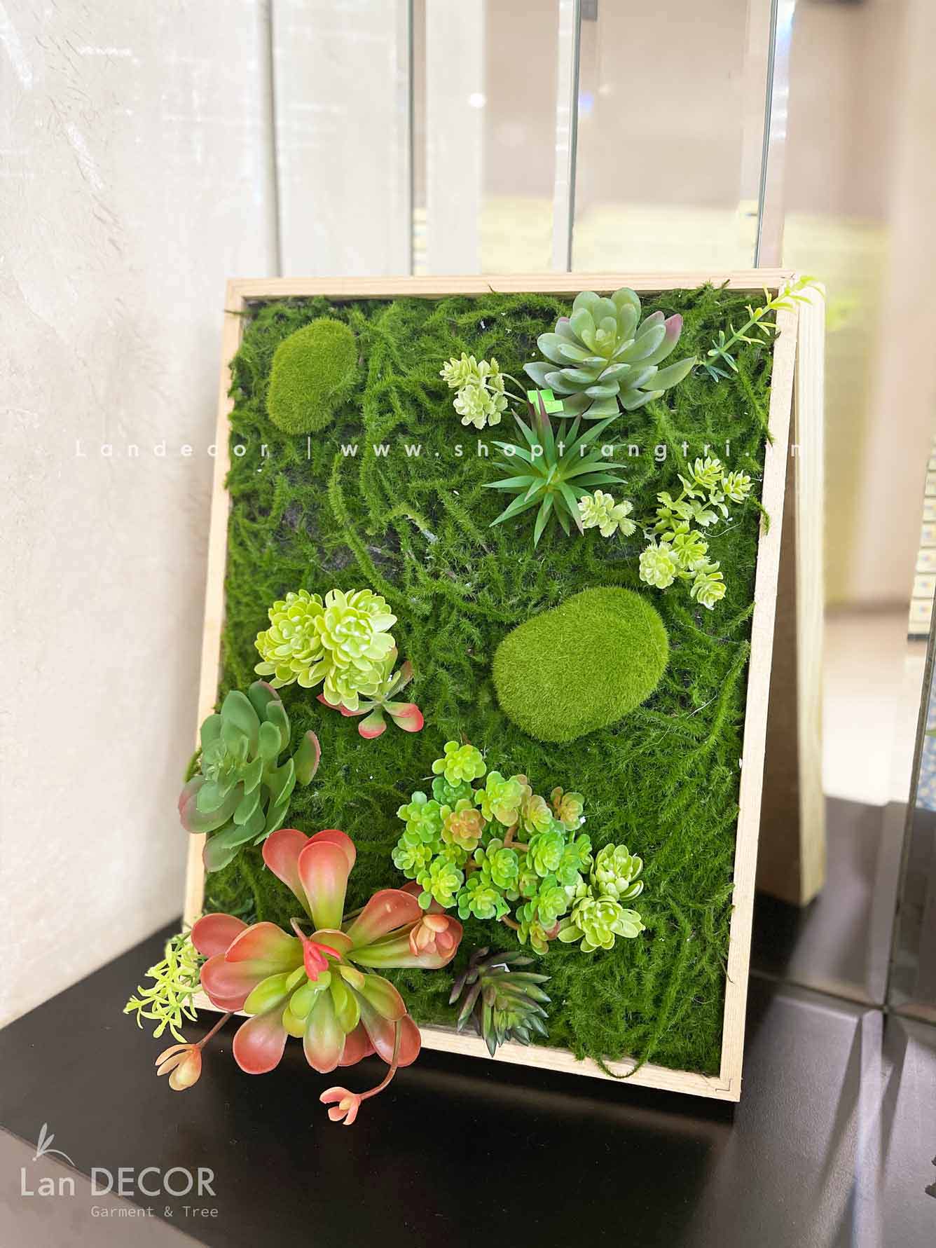 TỔNG HỢP CÁC MẪU KHUNG TRANH CÂY, SEN ĐÁ TREO TƯỜNG ĐỘC ĐÁO, TỰ NHIÊN ...