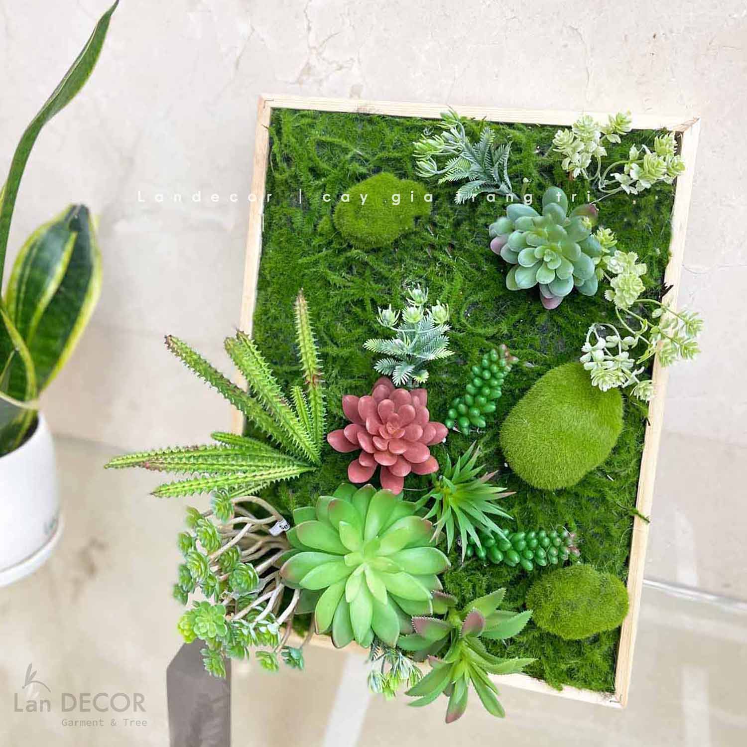 TỔNG HỢP CÁC MẪU KHUNG TRANH CÂY, SEN ĐÁ TREO TƯỜNG ĐỘC ĐÁO, TỰ NHIÊN ...