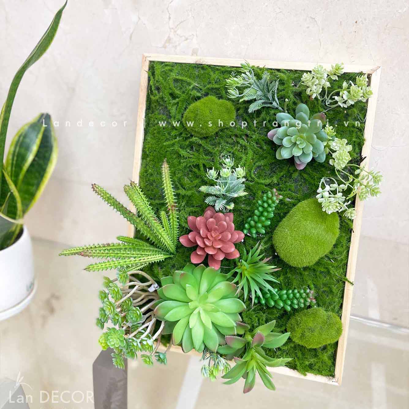 KHUNG TRANH RÊU SEN ĐÁ TRANG TRÍ TIỂU CẢNH - KTR010(30X40) Tổng Kho Sỉ ...