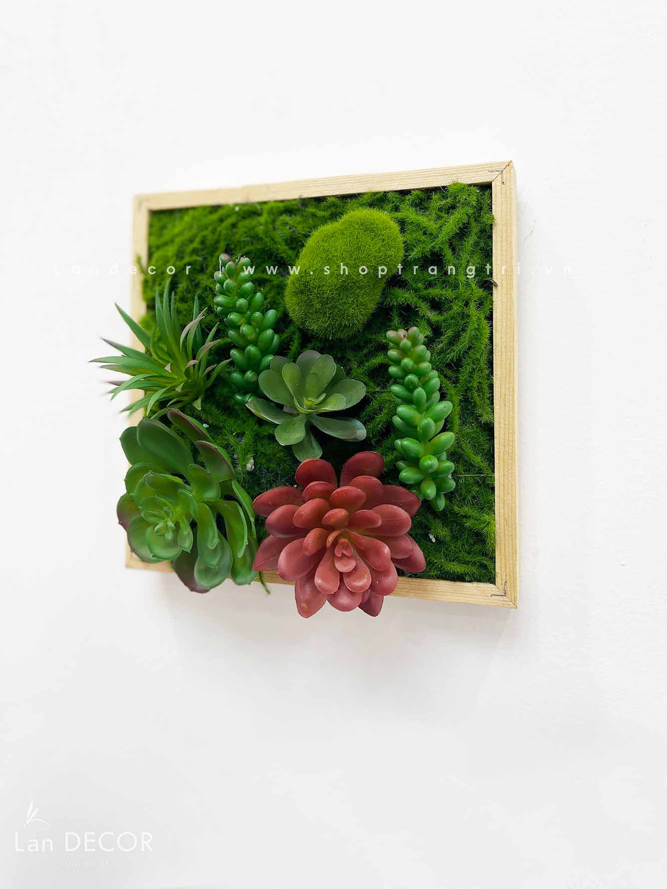 KHUNG TRANH RÊU SEN ĐÁ TRANG TRÍ LAN DECOR (20*20)- KTR06