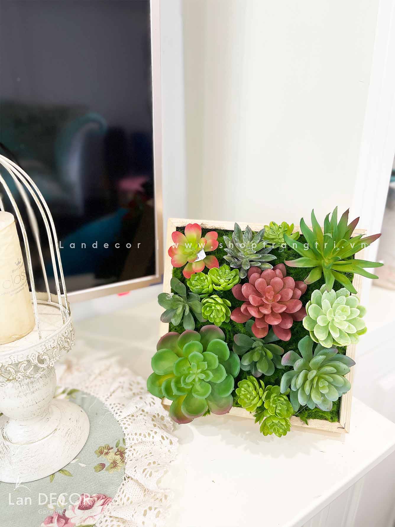 KHUNG TRANH RÊU SEN ĐÁ TRANG TRÍ LAN DECOR (20*20)- KTR06