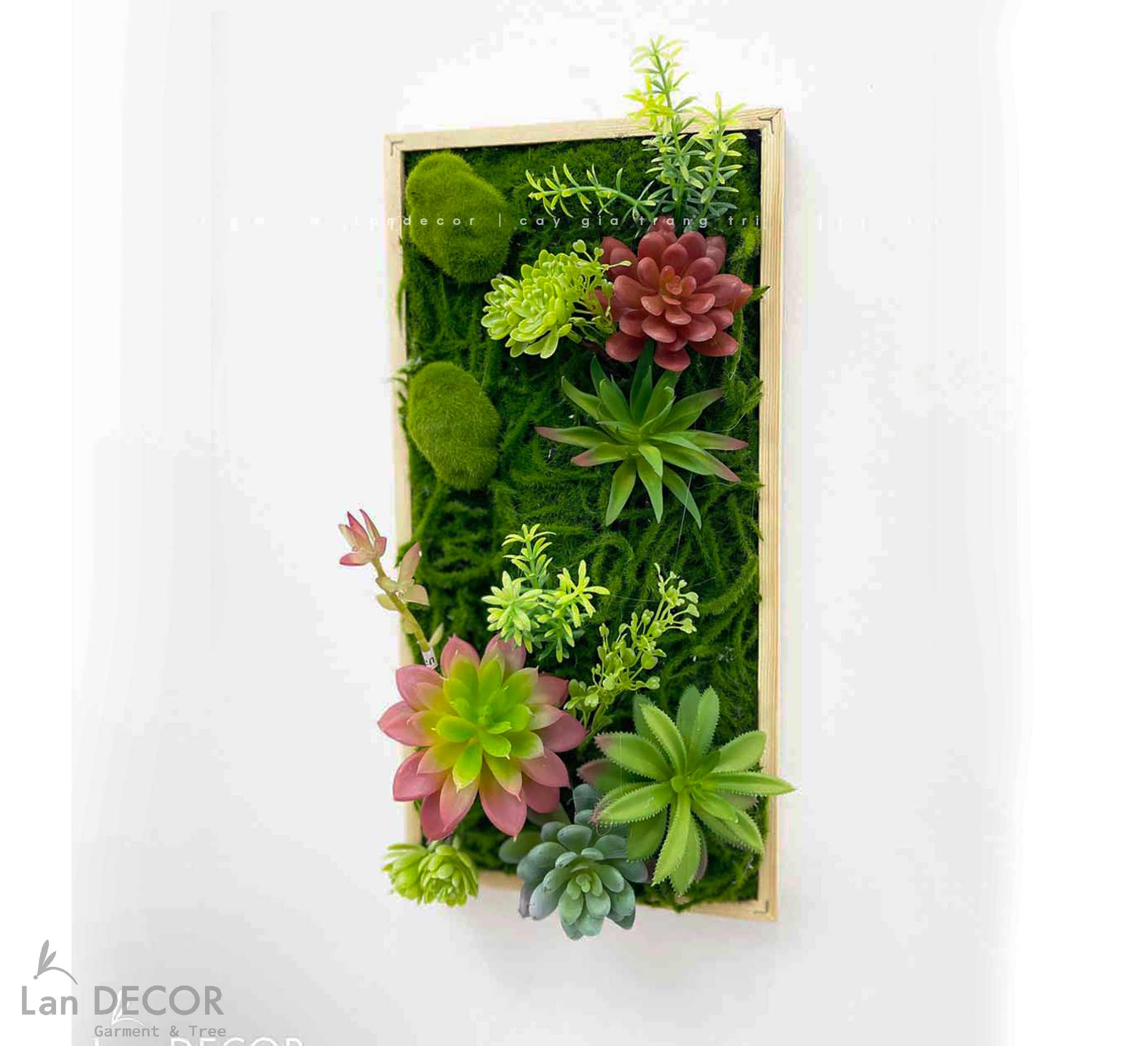 TỔNG HỢP CÁC MẪU KHUNG TRANH CÂY, SEN ĐÁ TREO TƯỜNG ĐỘC ĐÁO, TỰ NHIÊN