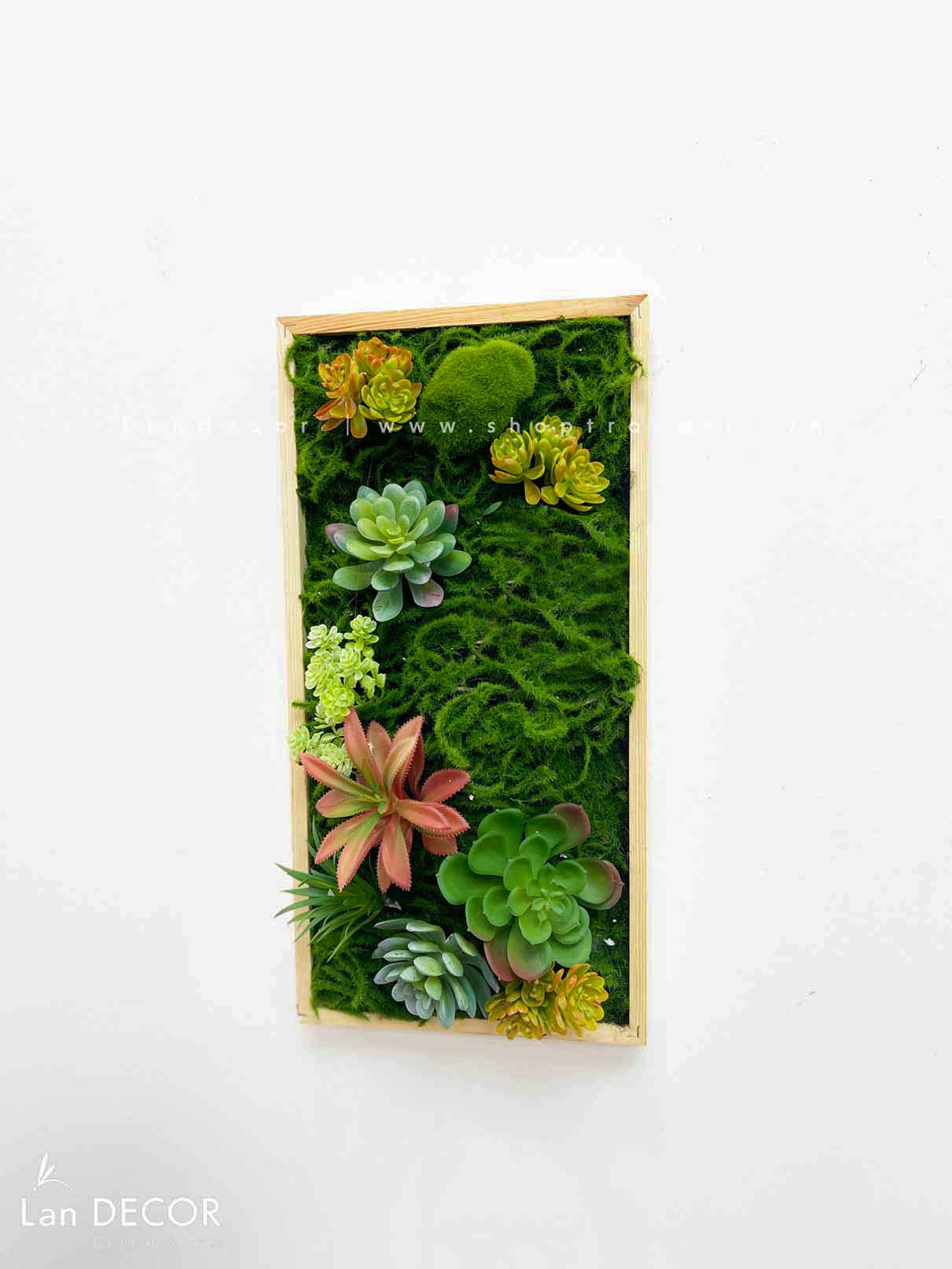 Khung tranh rêu sen đá trang trí hiện đại, độc đáo - KTR07(20x40)