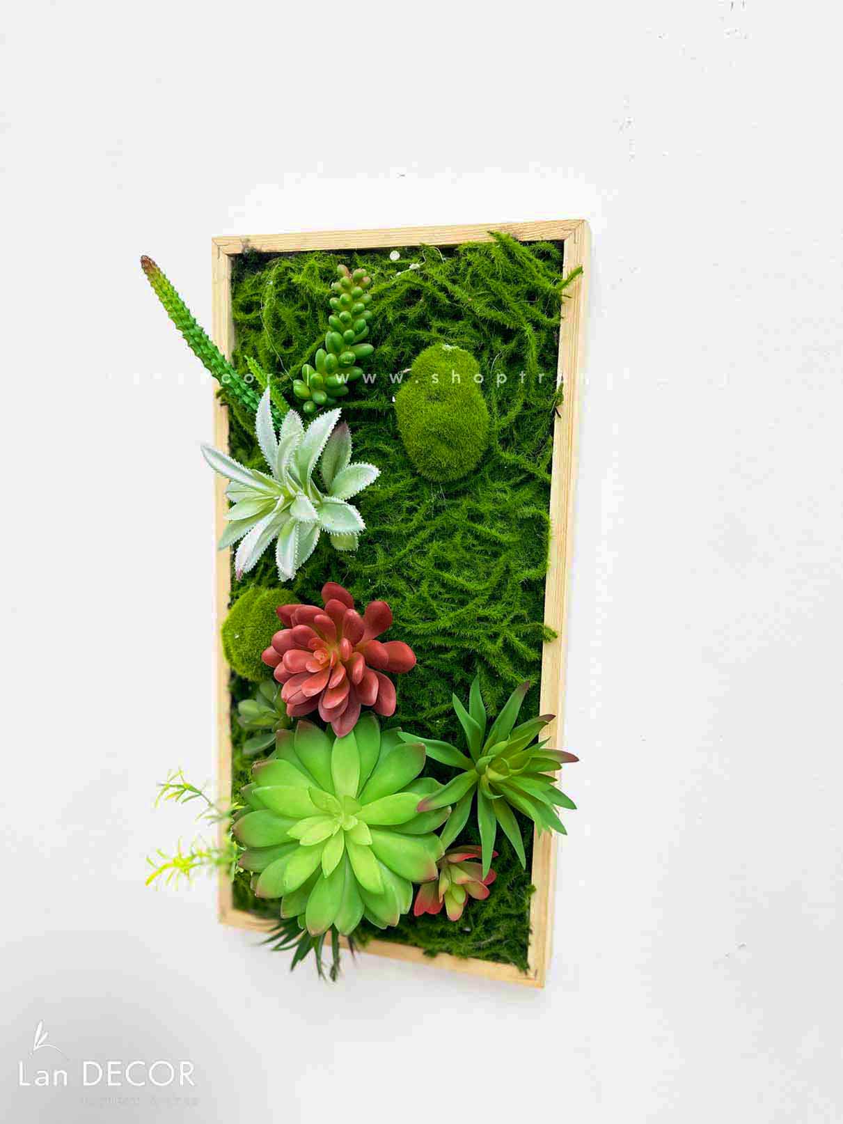 Khung tranh rêu sen đá trang trí hiện đại, độc đáo - KTR07(20x40) Tổng ...