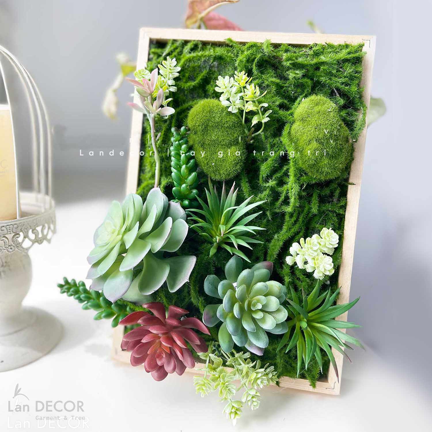 TỔNG HỢP CÁC MẪU KHUNG TRANH CÂY, SEN ĐÁ TREO TƯỜNG ĐỘC ĐÁO, TỰ NHIÊN