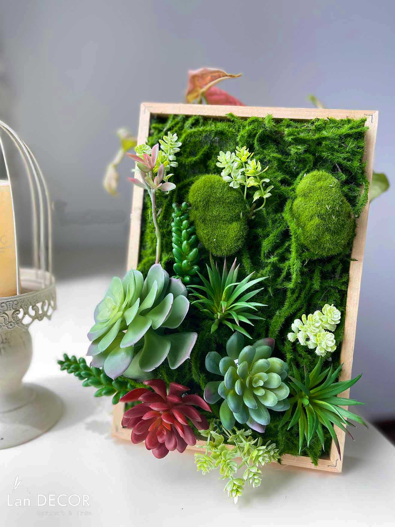Khung tranh rêu sen đá trang trí nhà đẹp - KTR08(20X30) Tổng Kho Sỉ Cây ...