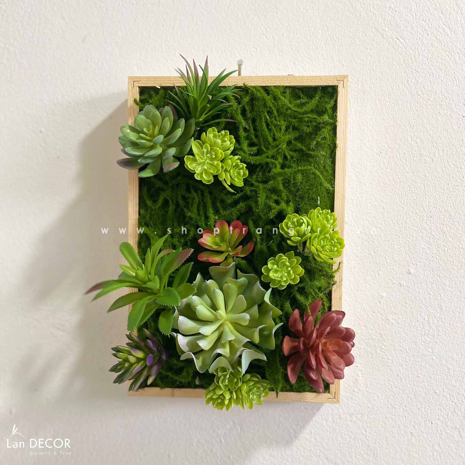 Khung tranh rêu sen đá trang trí nhà đẹp - KTR08(20X30) Tổng Kho Sỉ Cây ...