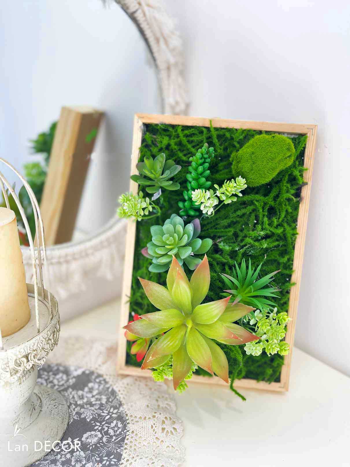 Khung tranh rêu sen đá trang trí nhà đẹp - KTR08(20X30) Tổng Kho Sỉ Cây ...