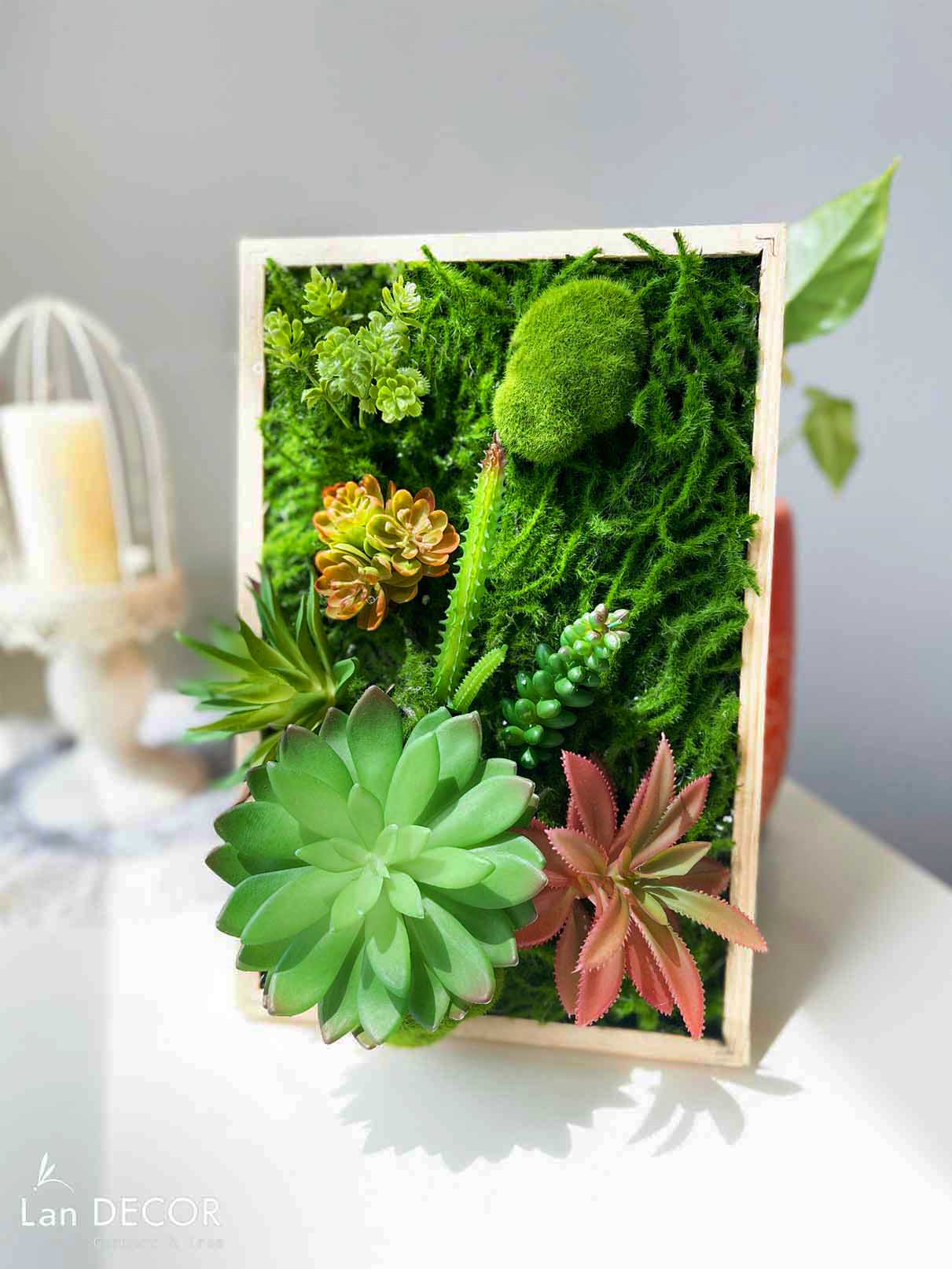 Khung tranh rêu sen đá trang trí nhà đẹp - KTR08(20X30) Tổng Kho Sỉ Cây ...