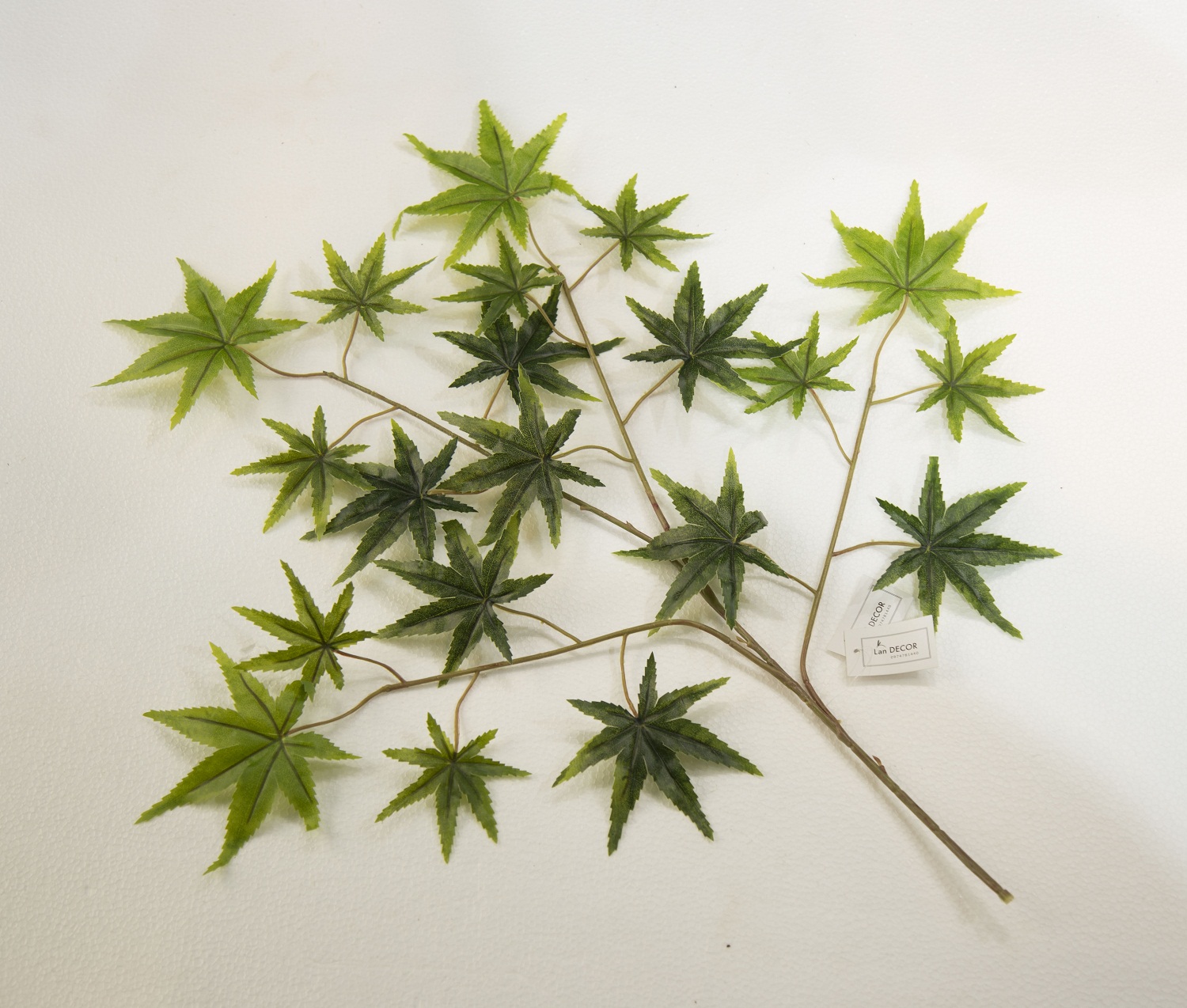 CÂY PHONG XANH cao 160cm - CC089