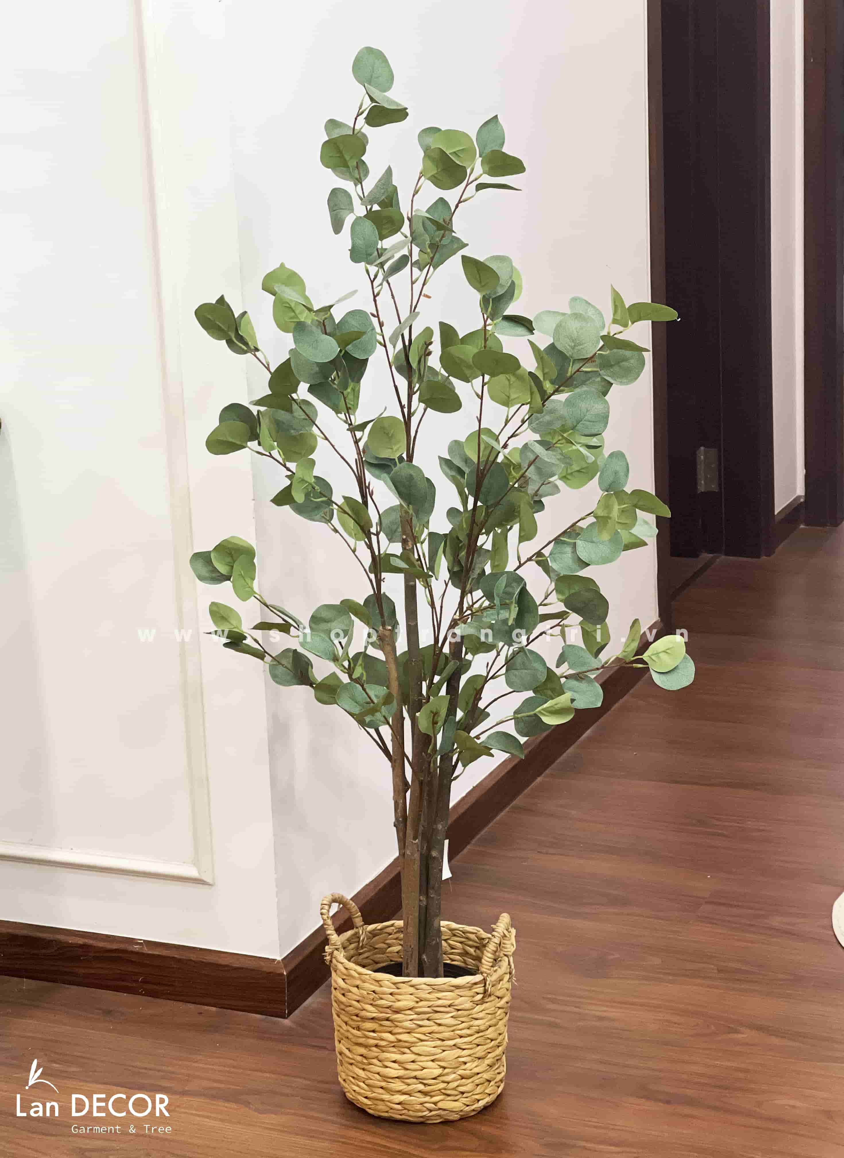 Cây kim tiền lá tròn phong cách Bắc Âu đẹp 120cm - LC3000