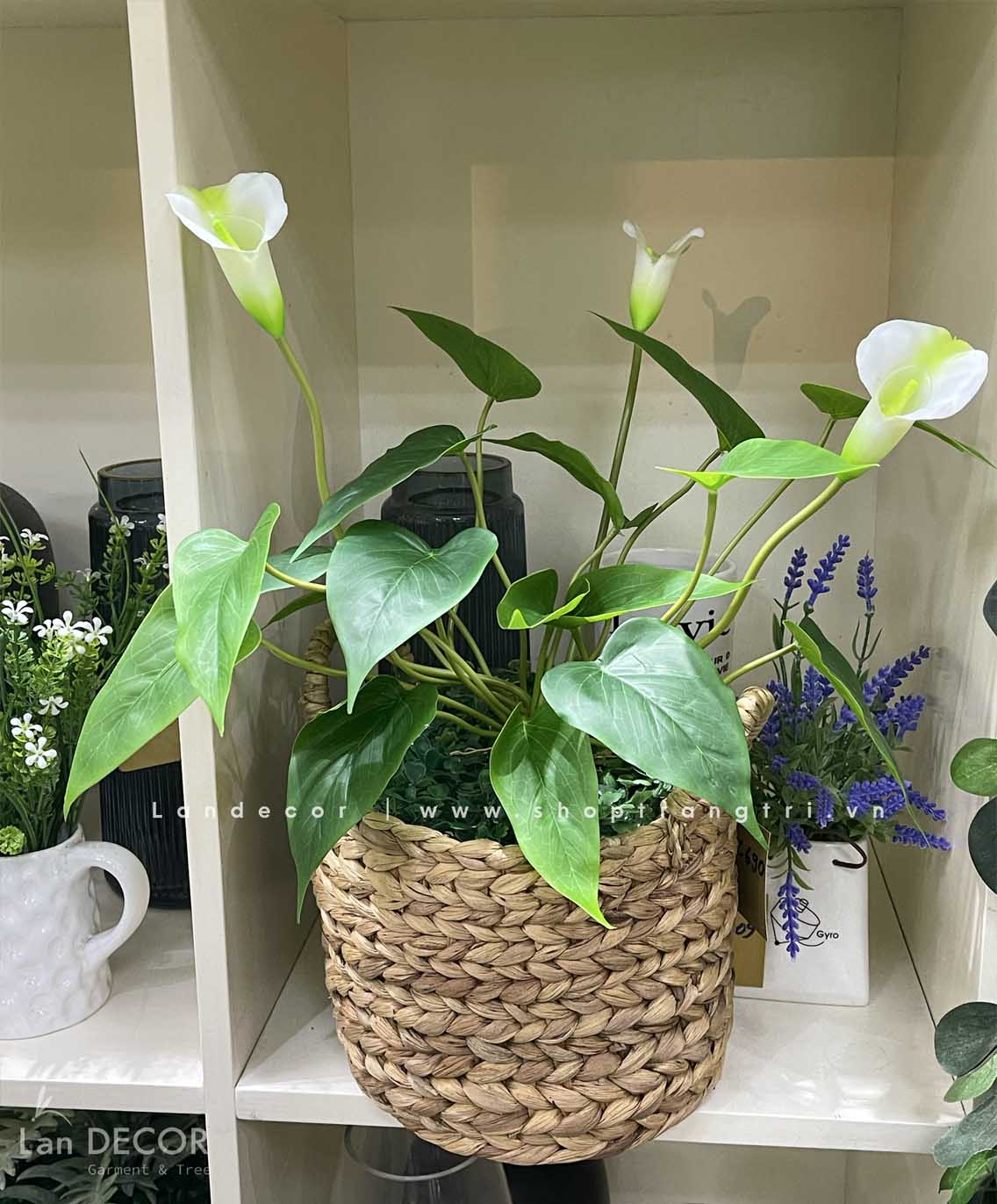 GIỎ LAN Ý ĐỂ BÀN DECOR KHÔNG GIAN XINH- CC690