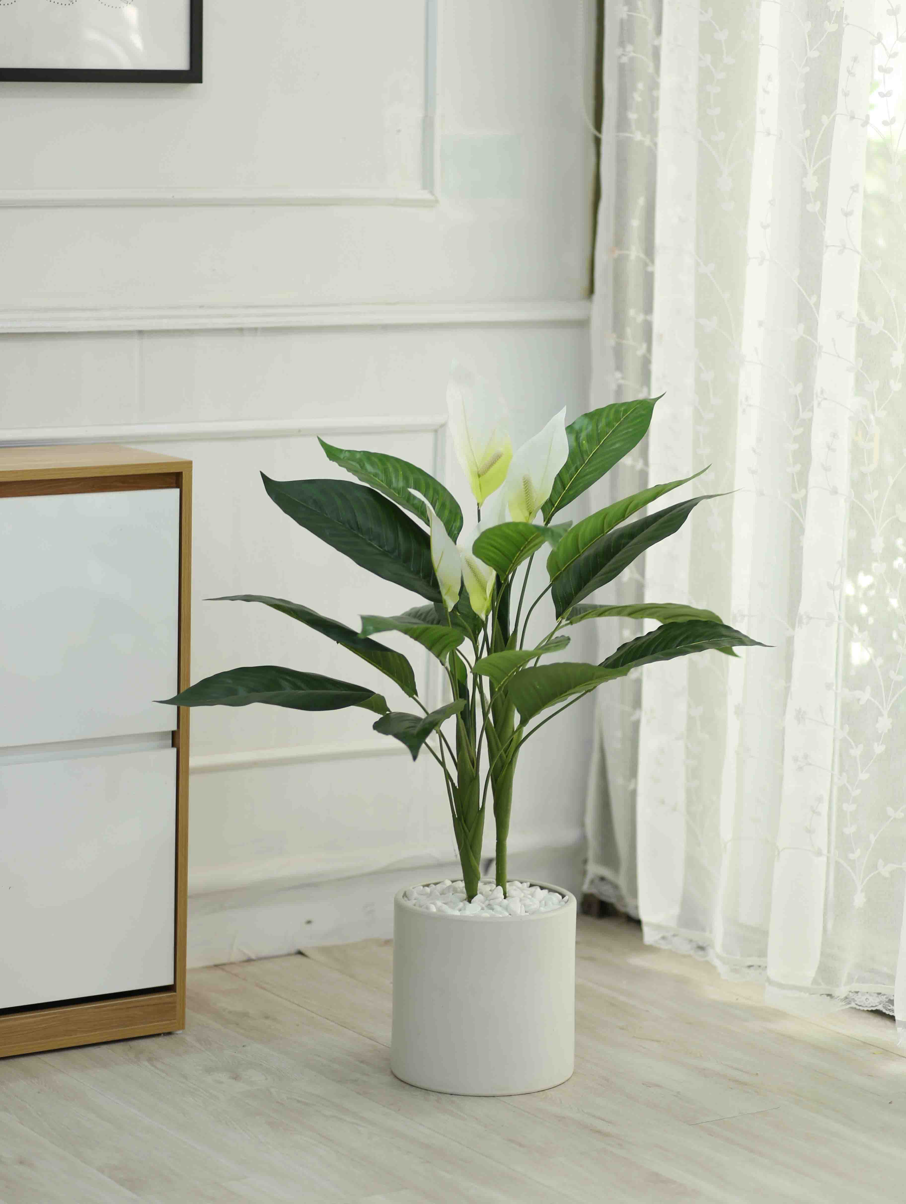 Cây Lan Ý trắng trang trí nhà sang trọng (90cm) - LC2931