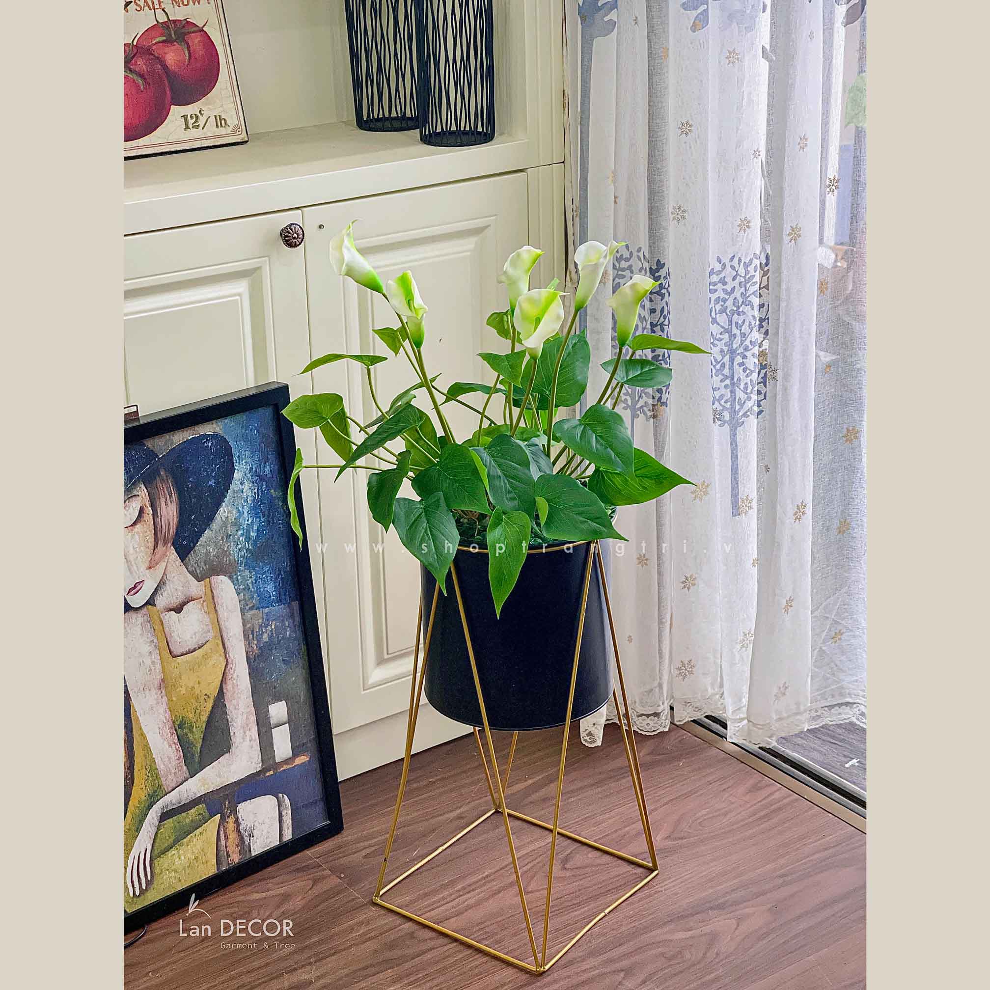 CÂY LAN Ý TRANG TRÍ KHÔNG GIAN HIỆN ĐẠI SANG TRỌNG - CC607