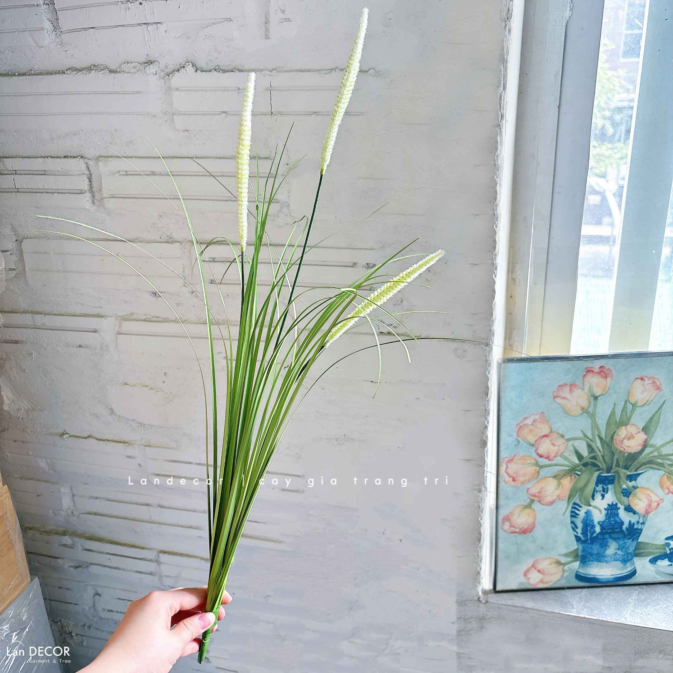 Cỏ Lau Giả- Cành Cỏ Lau Giả Không Lông Thiết Kệ Ụ Rêu Tiểu Cảnh, Decor Kệ Cây- CC1088