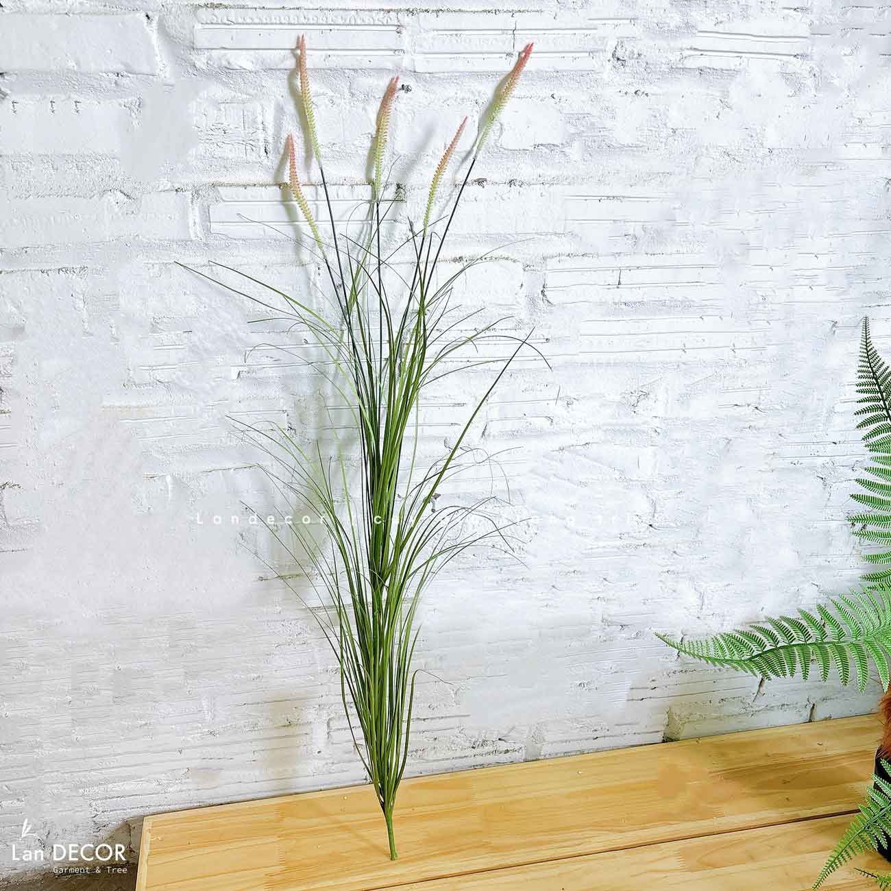 Cỏ Lau Giả- Cành Cỏ Lau Giả Không Lông Thiết Kệ Ụ Rêu Tiểu Cảnh, Decor Kệ Cây- CC1088