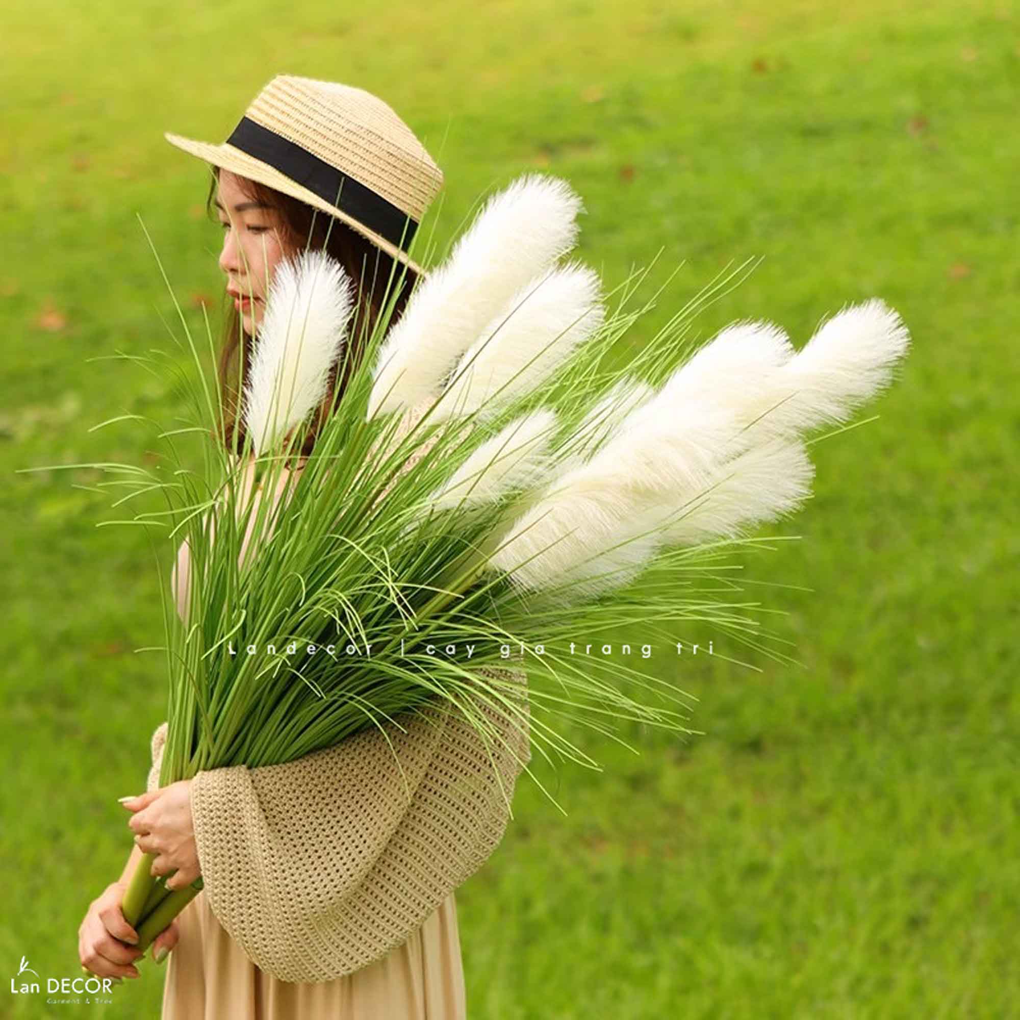 Cỏ Lau Giả- Cành lau sậy 5 bông (Full màu) - HC992