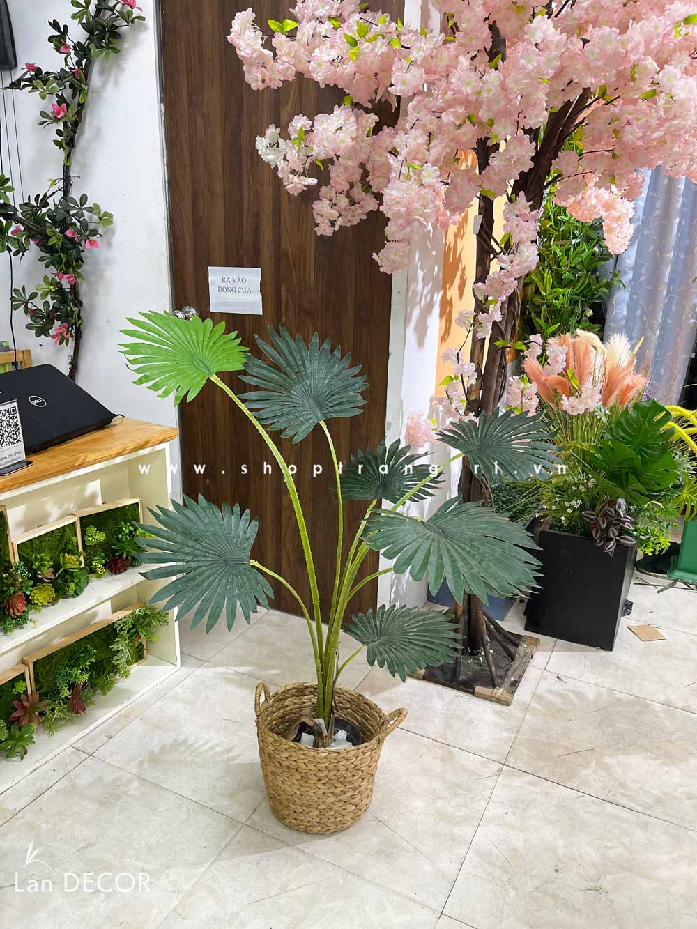 CÂY CỌ CẢNH TRANG TRÍ NỘI THẤT LAN DECOR 140CM - LC3032