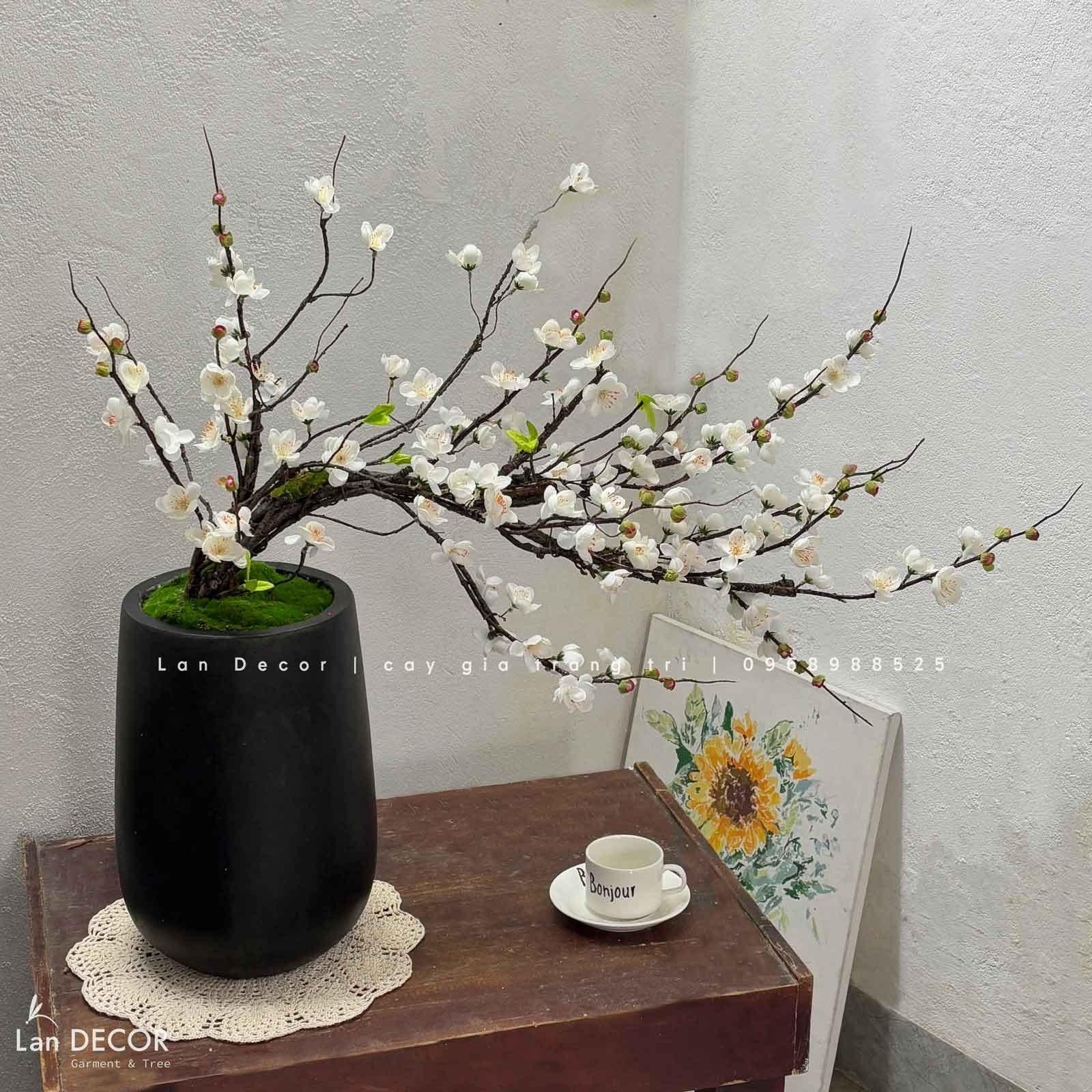 CHẬU MAI TRƯNG NGÀY TẾT ĐÓN XUÂN VỀ (80CM)- CC792