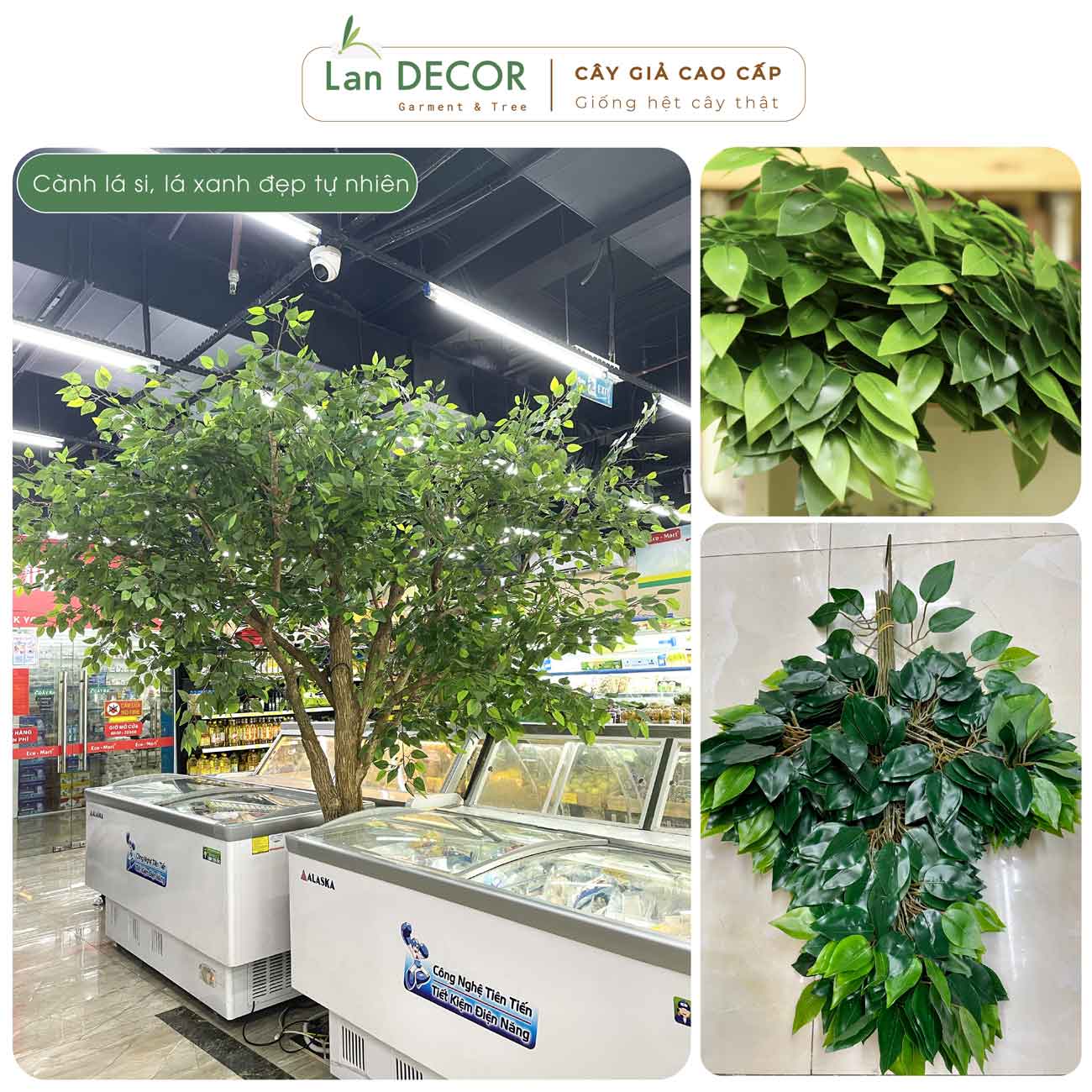Cành Lá Xanh Giả Decor, Cành Lá Si Xanh 3 nhánh trang trí nhà cửa (55cm) - HC708