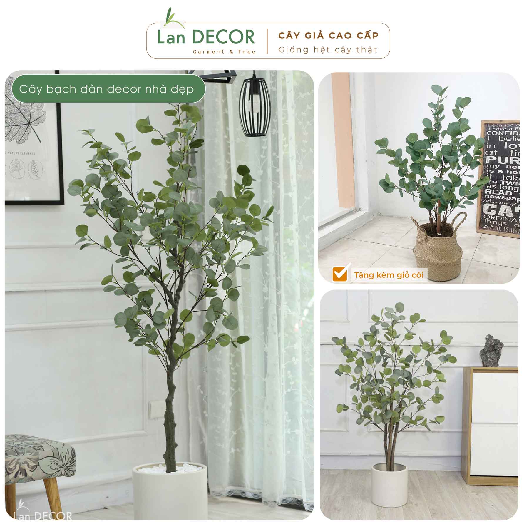 CÂY BẠCH ĐÀN GIẢ TRANG TRÍ NHÀ (130cm) - LC3050