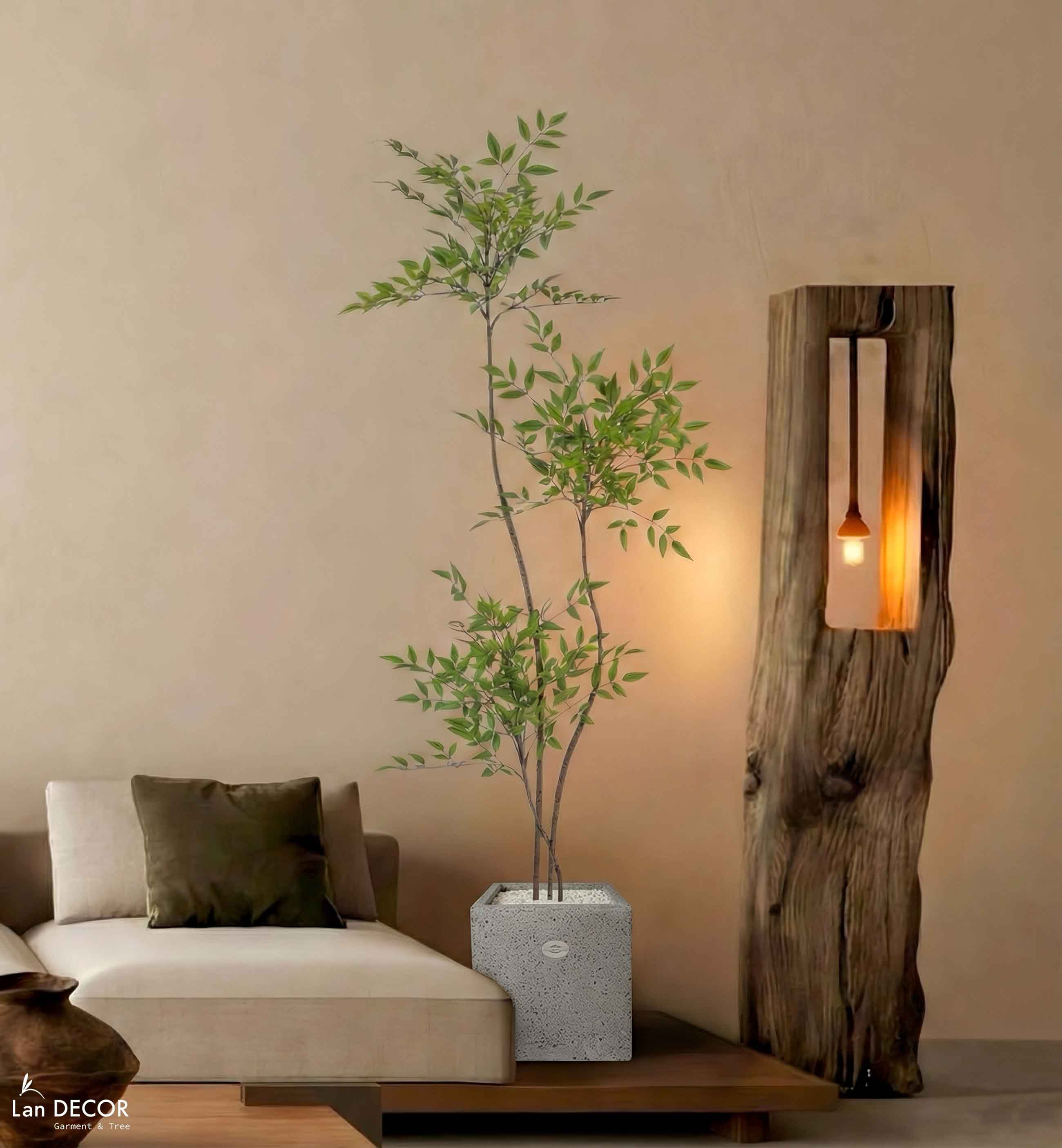Nam Thiên Trúc Giả- Cây Nam Thiên Trúc Giả Thiết Không Gian Tinh Tế (150cm)- LC3047-3 thân