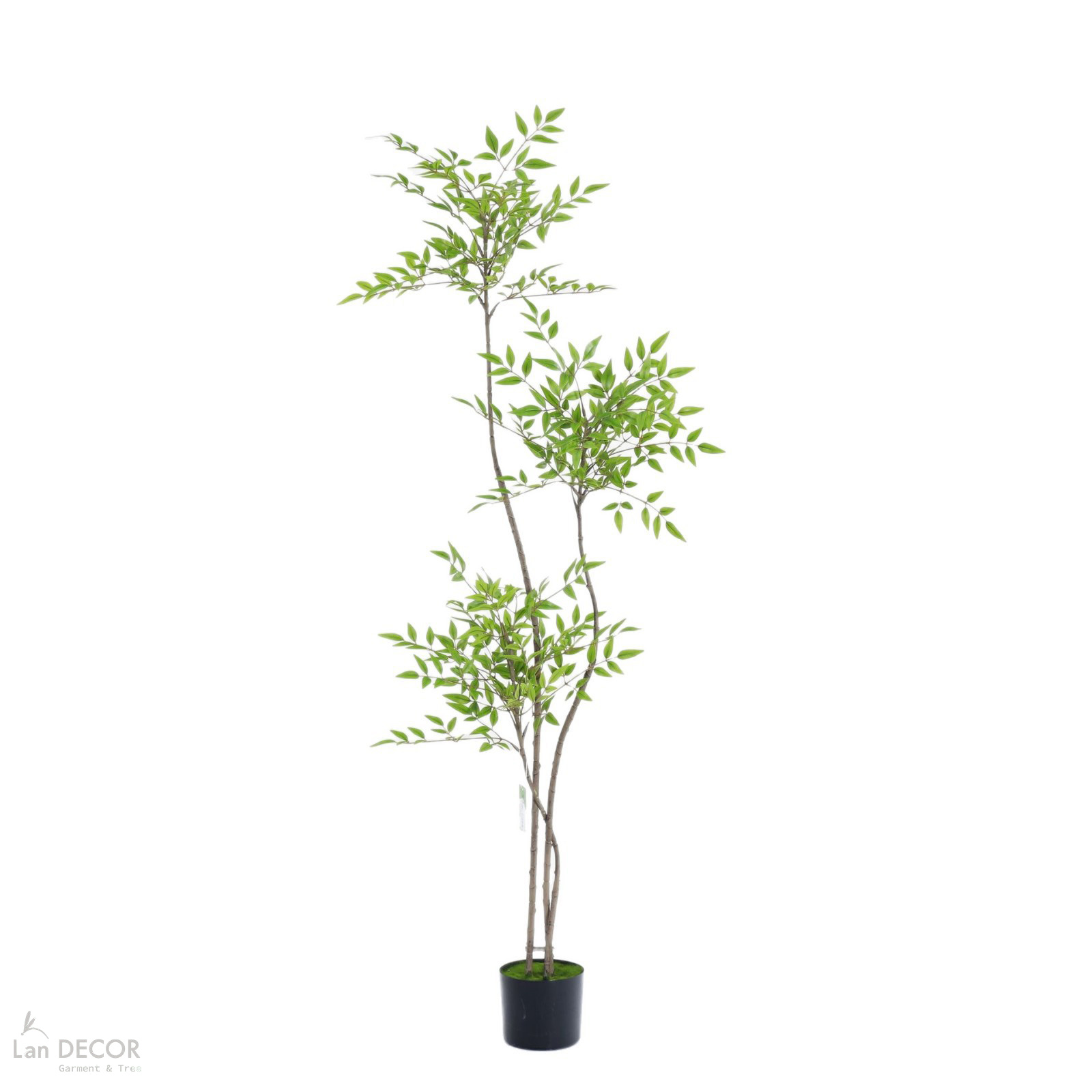 Nam Thiên Trúc Giả- Cây Nam Thiên Trúc Giả Thiết Không Gian Tinh Tế (150cm)- LC3047-3 thân