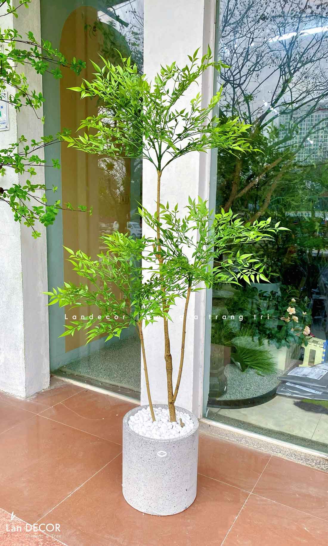 Cây Giả Decor- Cây Nam Thiên Trúc Giả Trang Trí Tiểu Cảnh Tự Nhiên (160cm)- LC3042