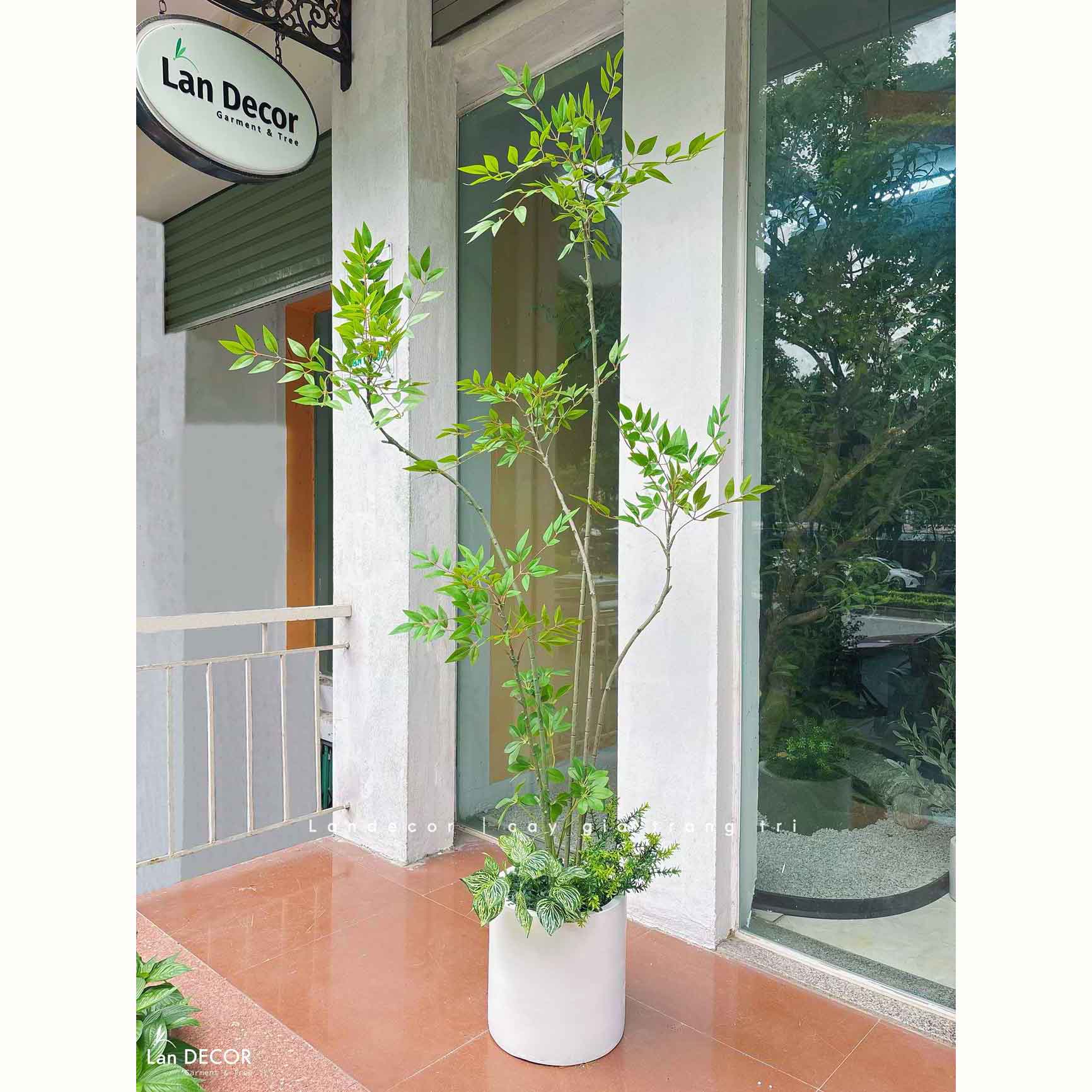 Nam Thiên Trúc Giả- Cây Nam Thiên Trúc Giả Decor Căn Hộ Hiện Đại (190cm)- LC3047-5